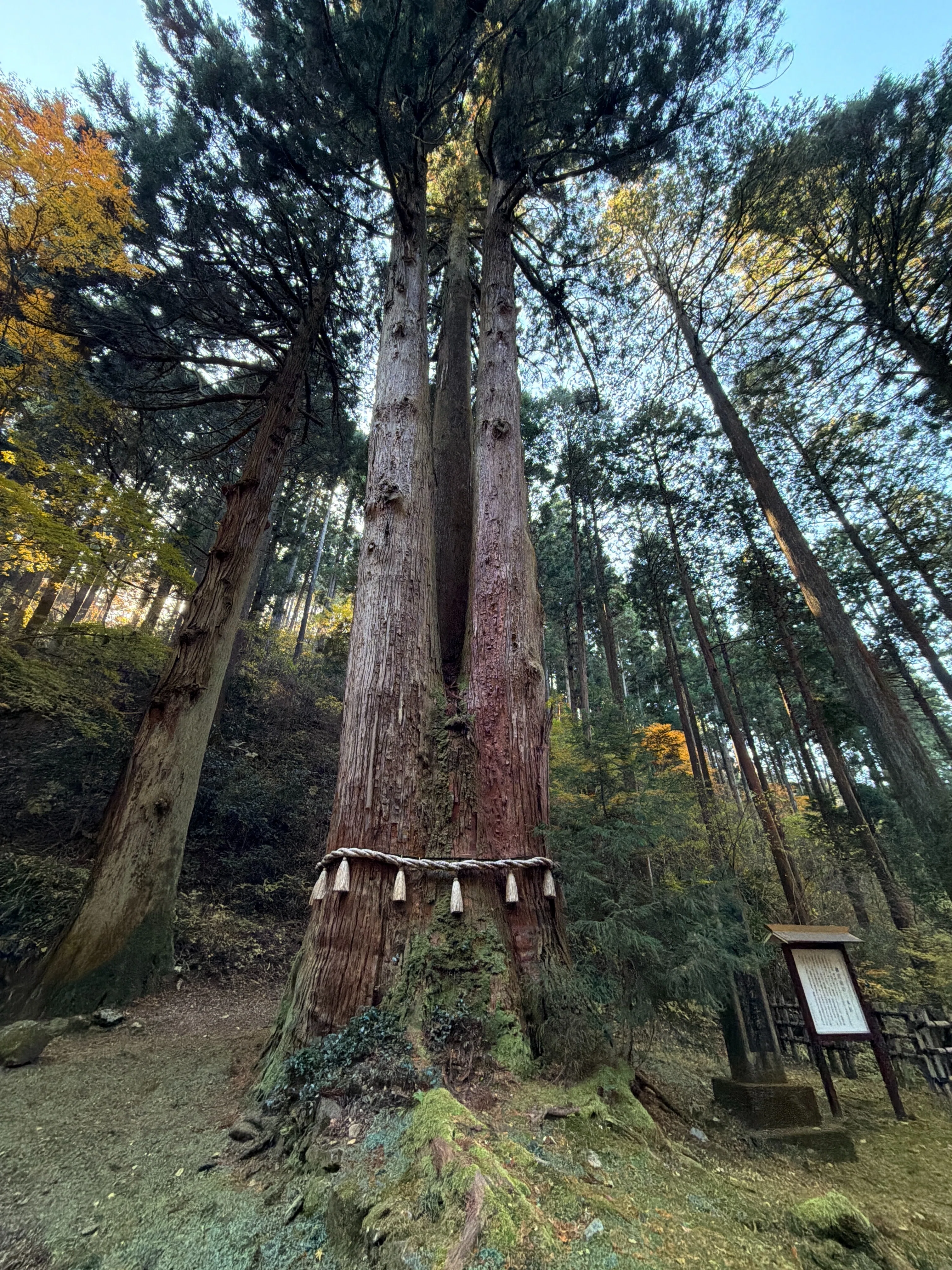 御岩神社 ｜ 『常陸國風土記』「かびれの高峰に天つ神鎮まる」 ｜ 茨城