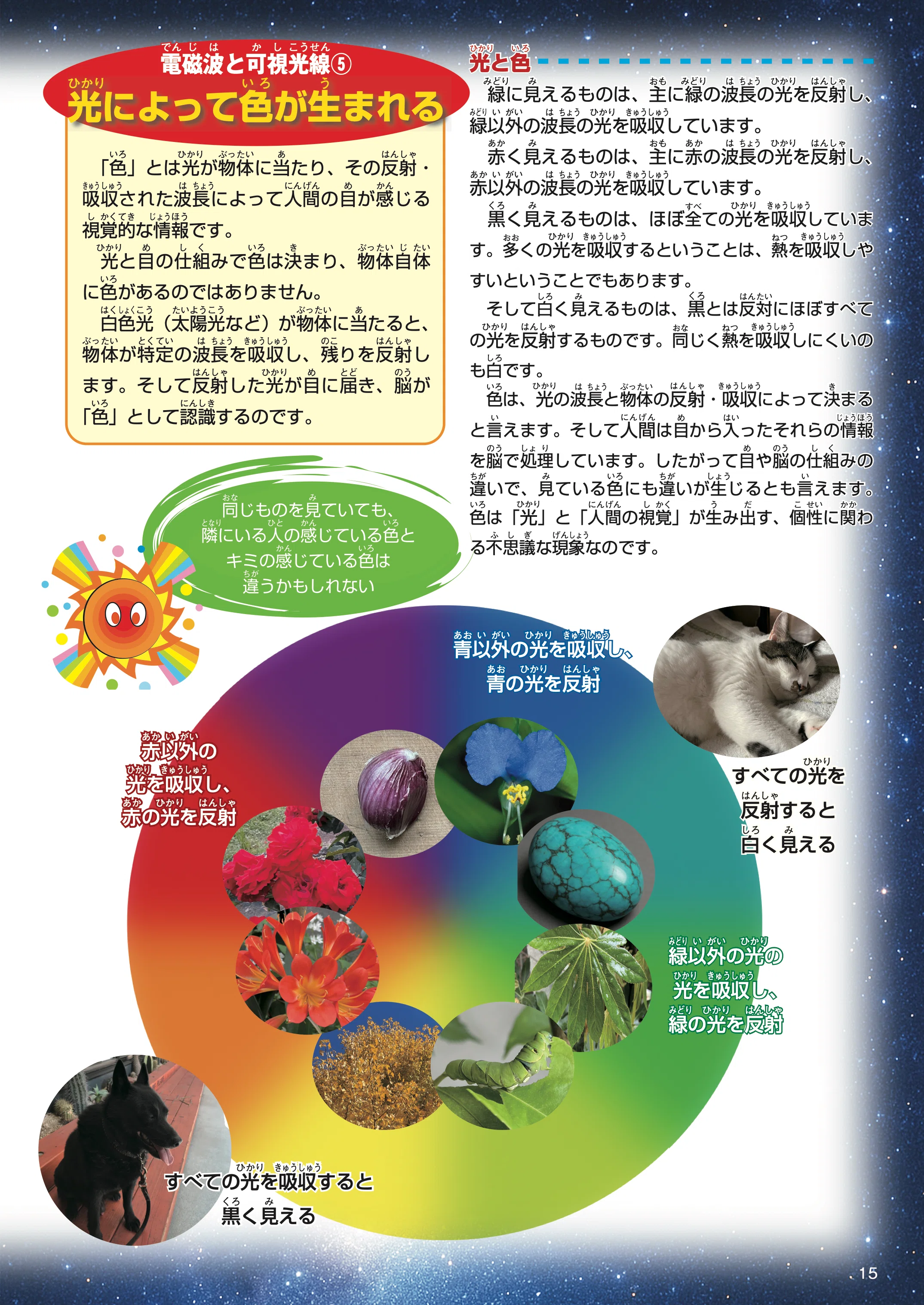 色」って何？━━描く人もハマる、光と構造がつくる「色」のはなし 