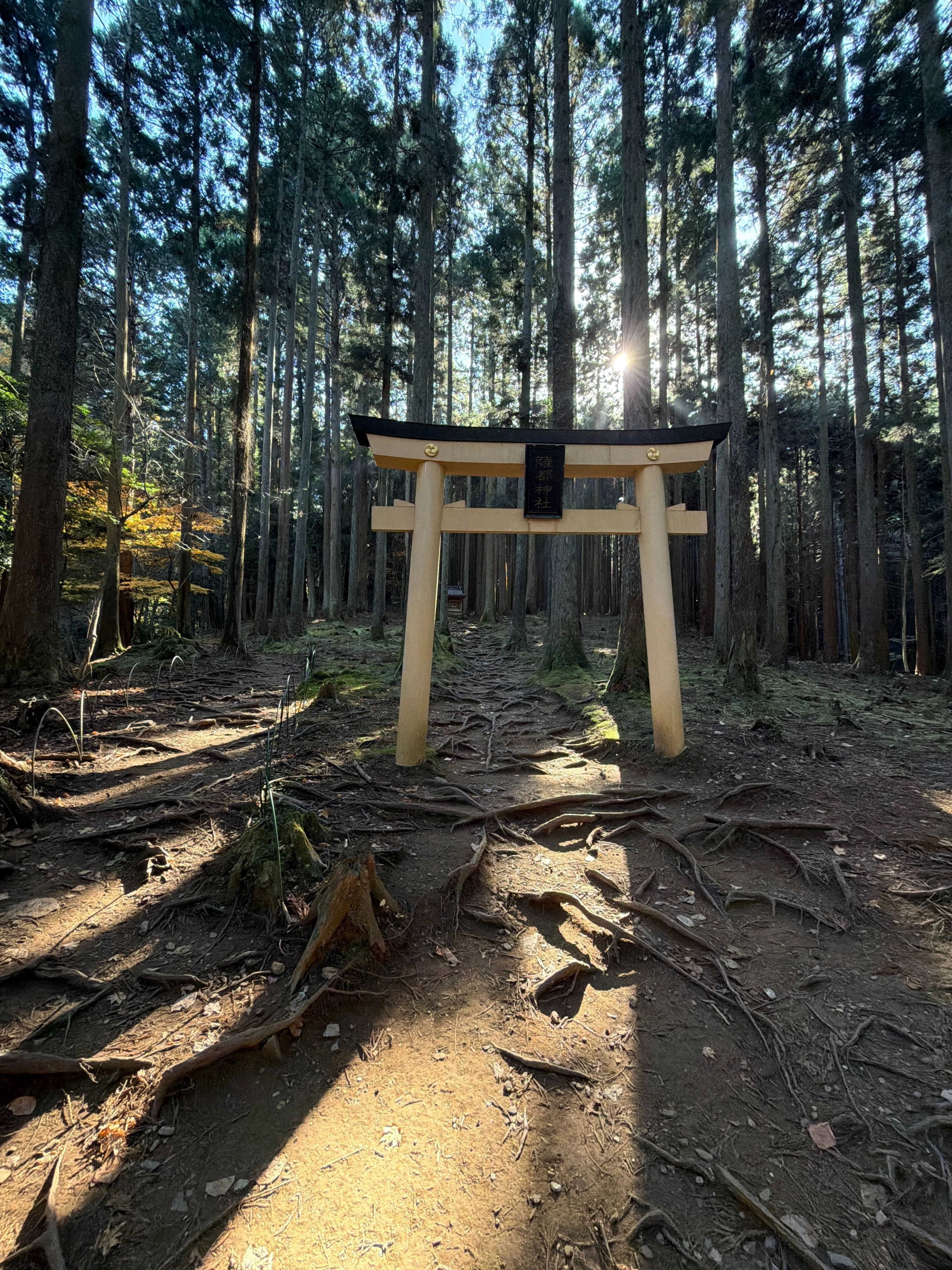 御岩神社 ｜ 『常陸國風土記』「かびれの高峰に天つ神鎮まる」 ｜ 茨城