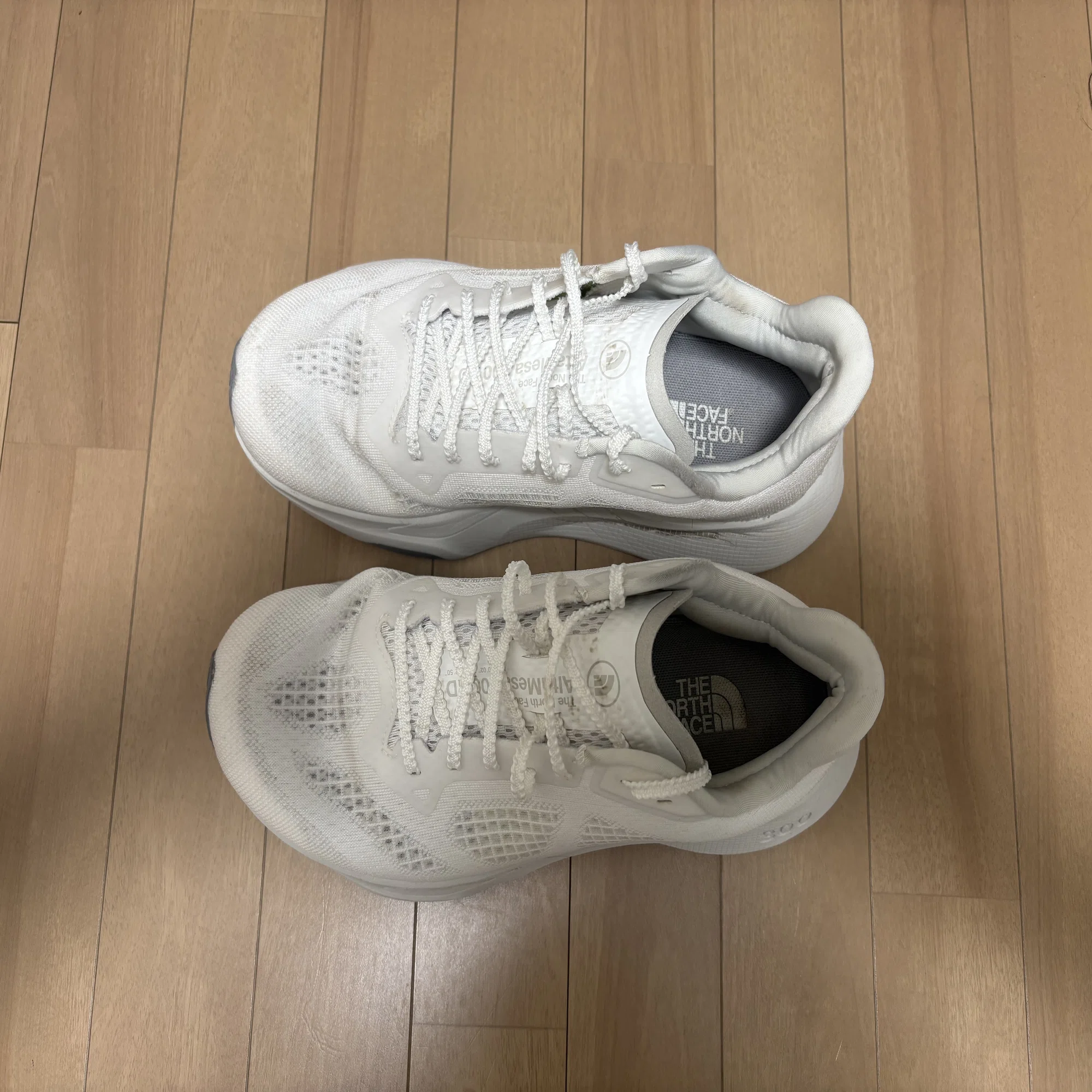 シューズレビュー】THE NORTH FACE Altamesa 300 RD（アルタメサ 300 