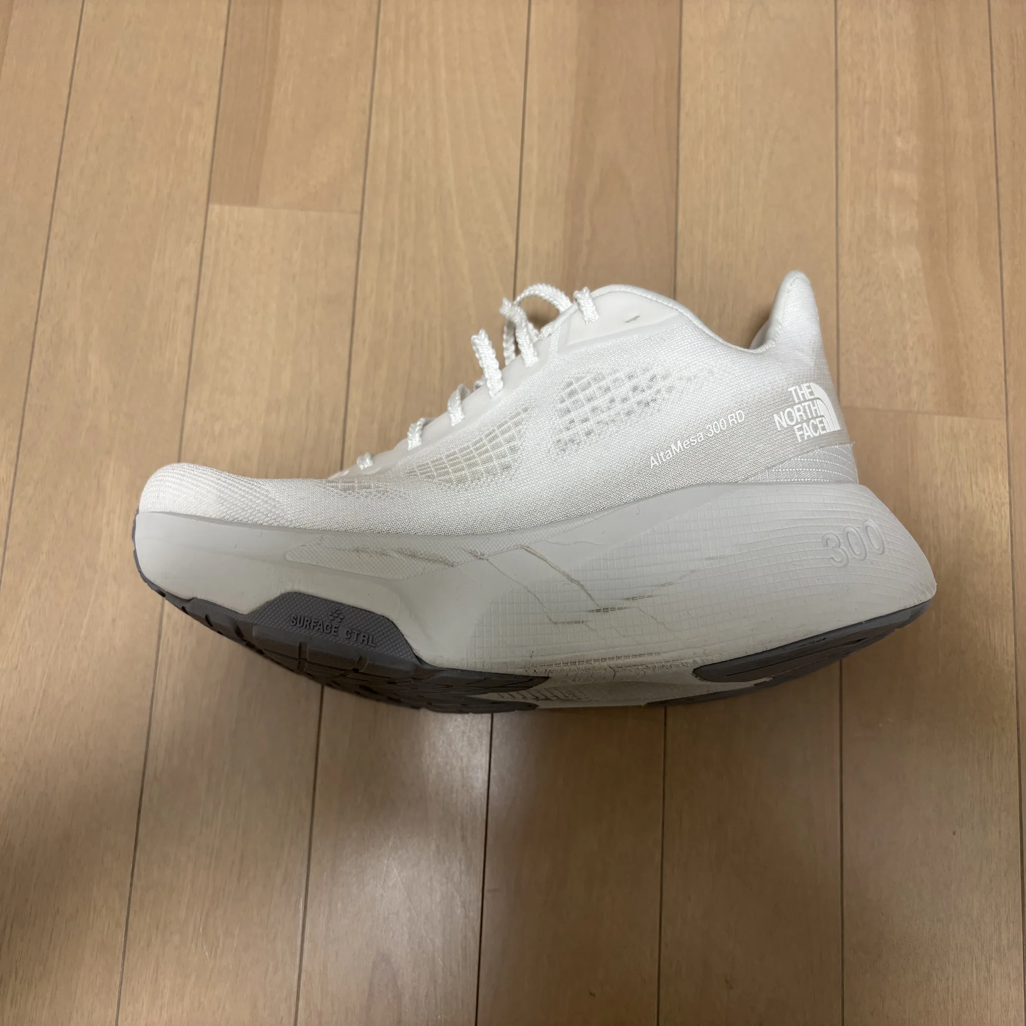 シューズレビュー】THE NORTH FACE Altamesa 300 RD（アルタメサ 300 