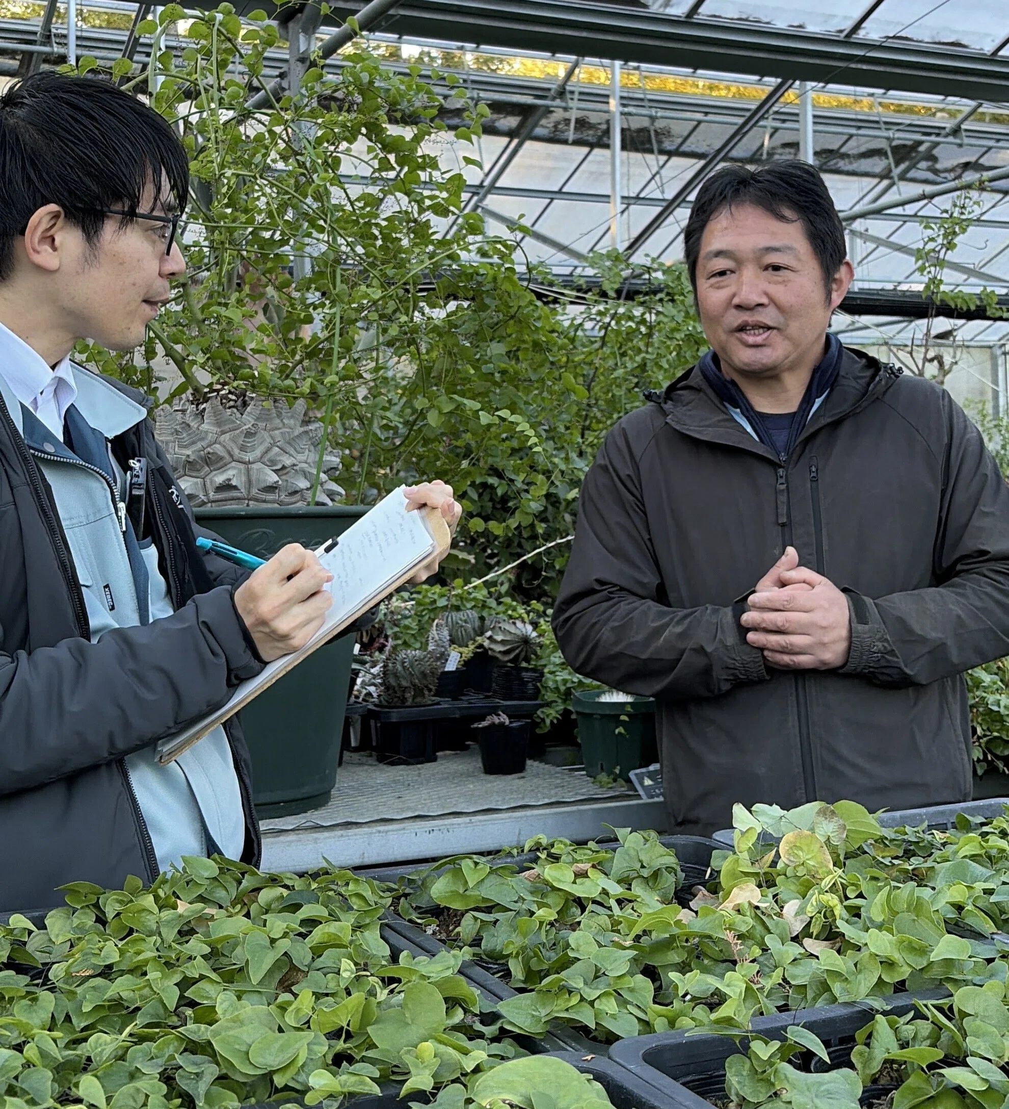 花き農家取材】米国研修が就農の契機に 生産と育種の二刀流農家｜農林