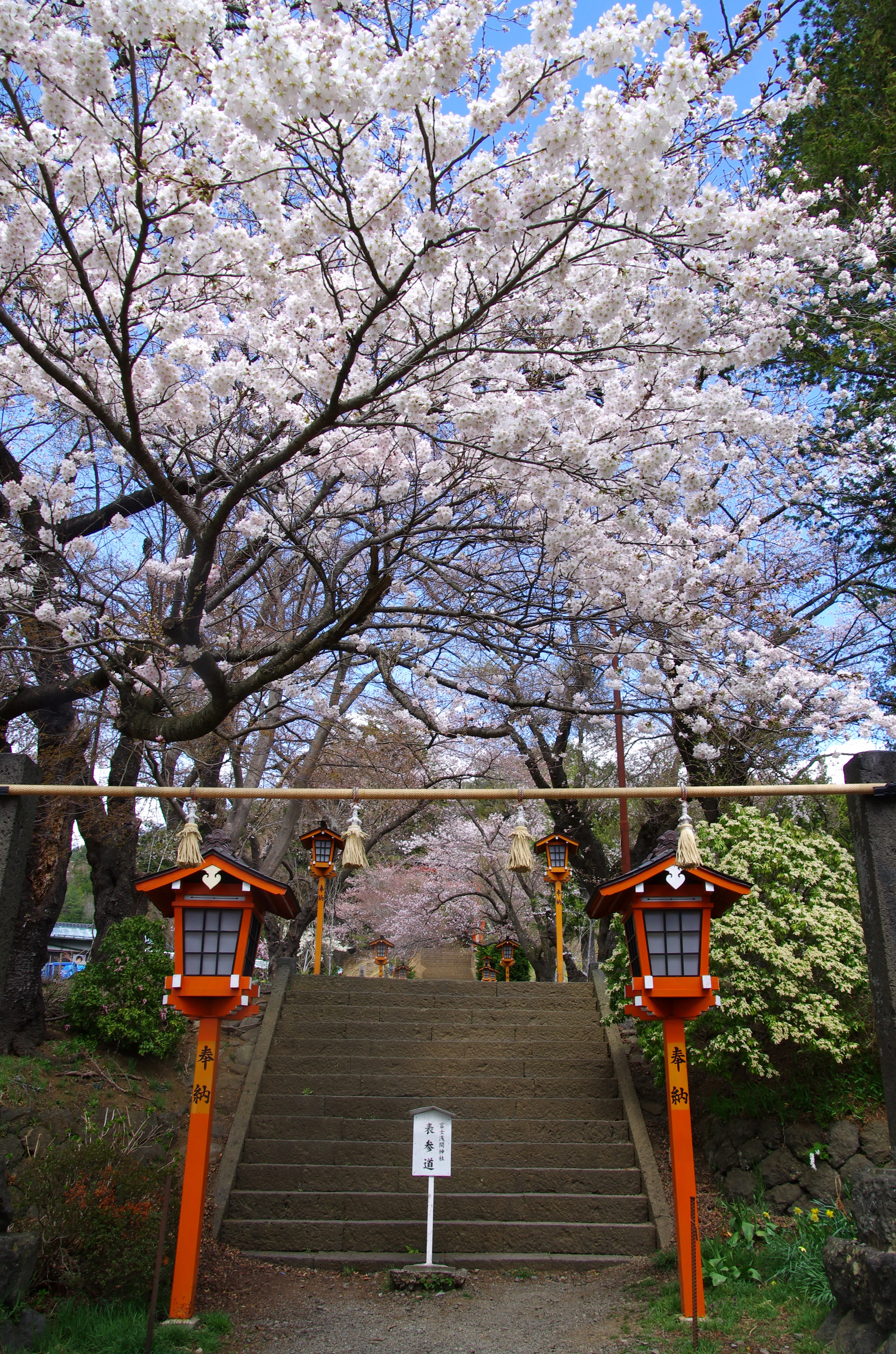 春の撮影スポット : 新倉富士浅間神社｜キータン🦋写真とAIで紡ぐもう