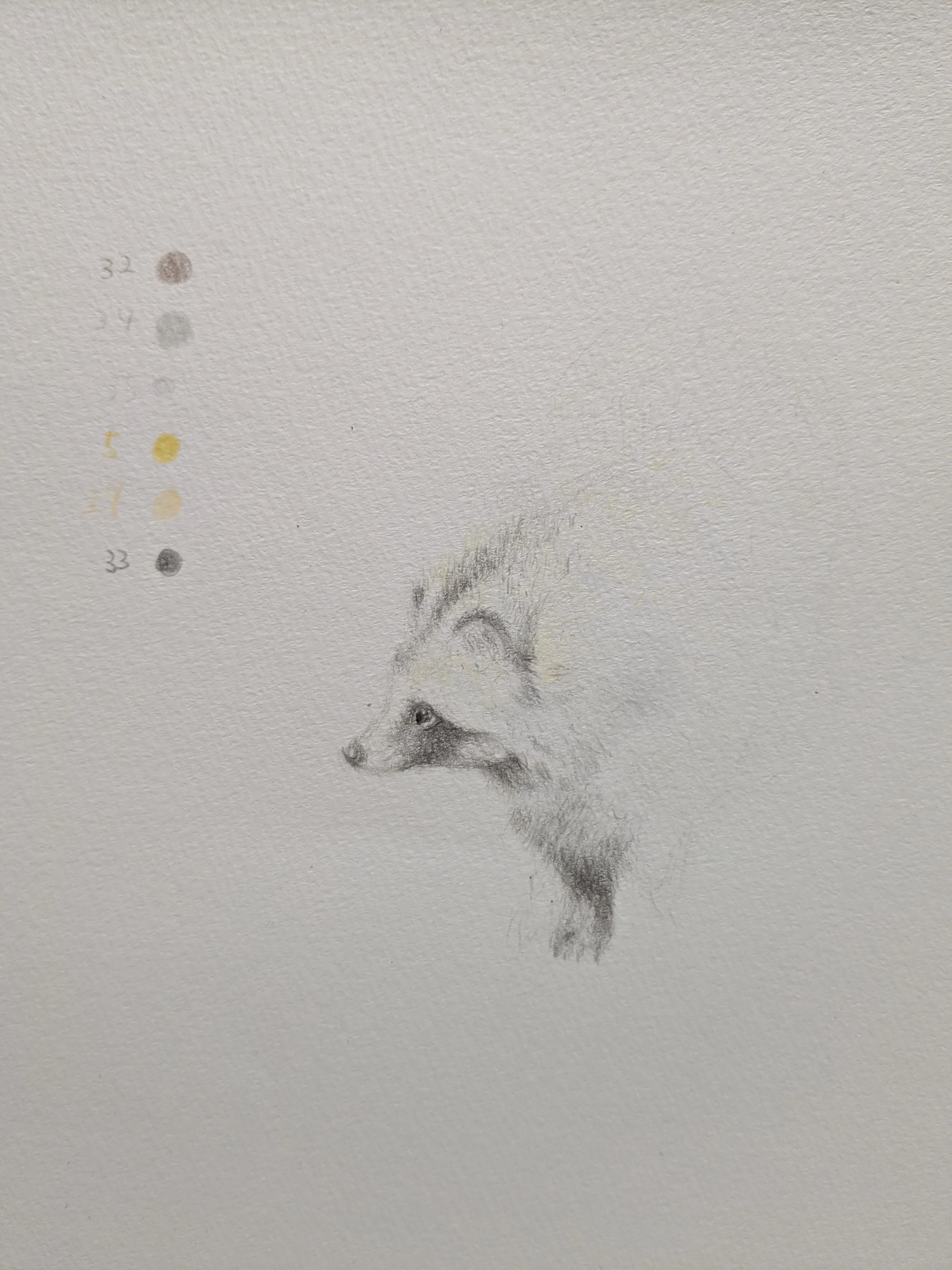 タヌキの絵 2.5号 シルバーフレーム 色鉛筆で、タヌキの色探しの旅｜どんぐり子（たぬき絵）