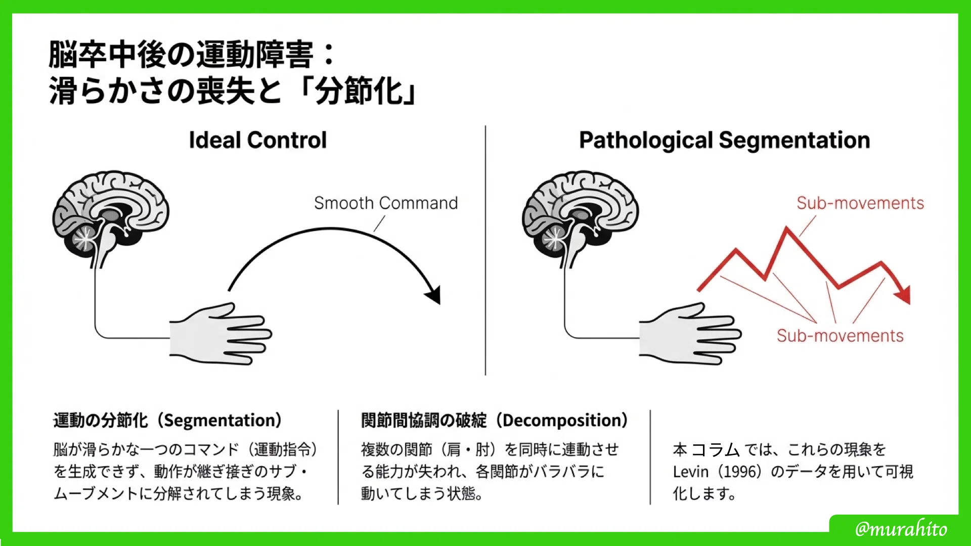 脳卒中片麻痺における「協調性」の正体-Mindy F. Levin (1996) が