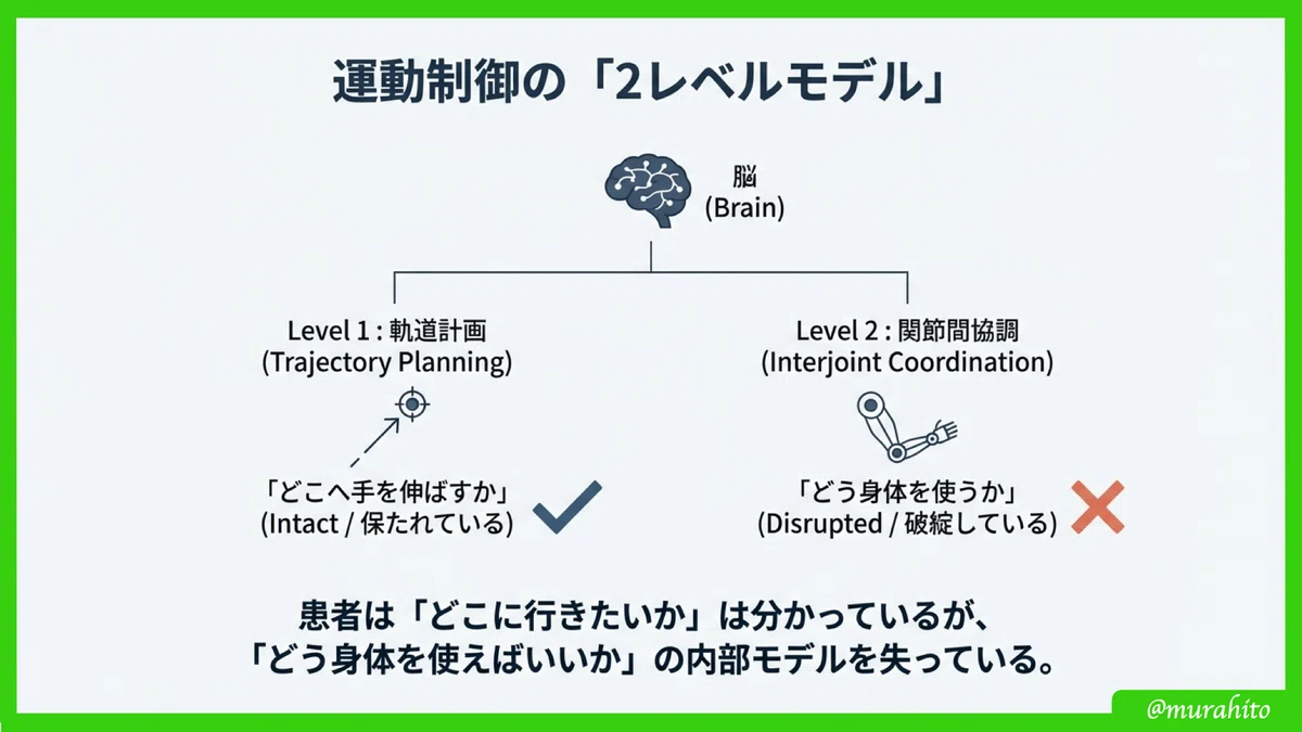 脳卒中片麻痺における「協調性」の正体-Mindy F. Levin (1996) が