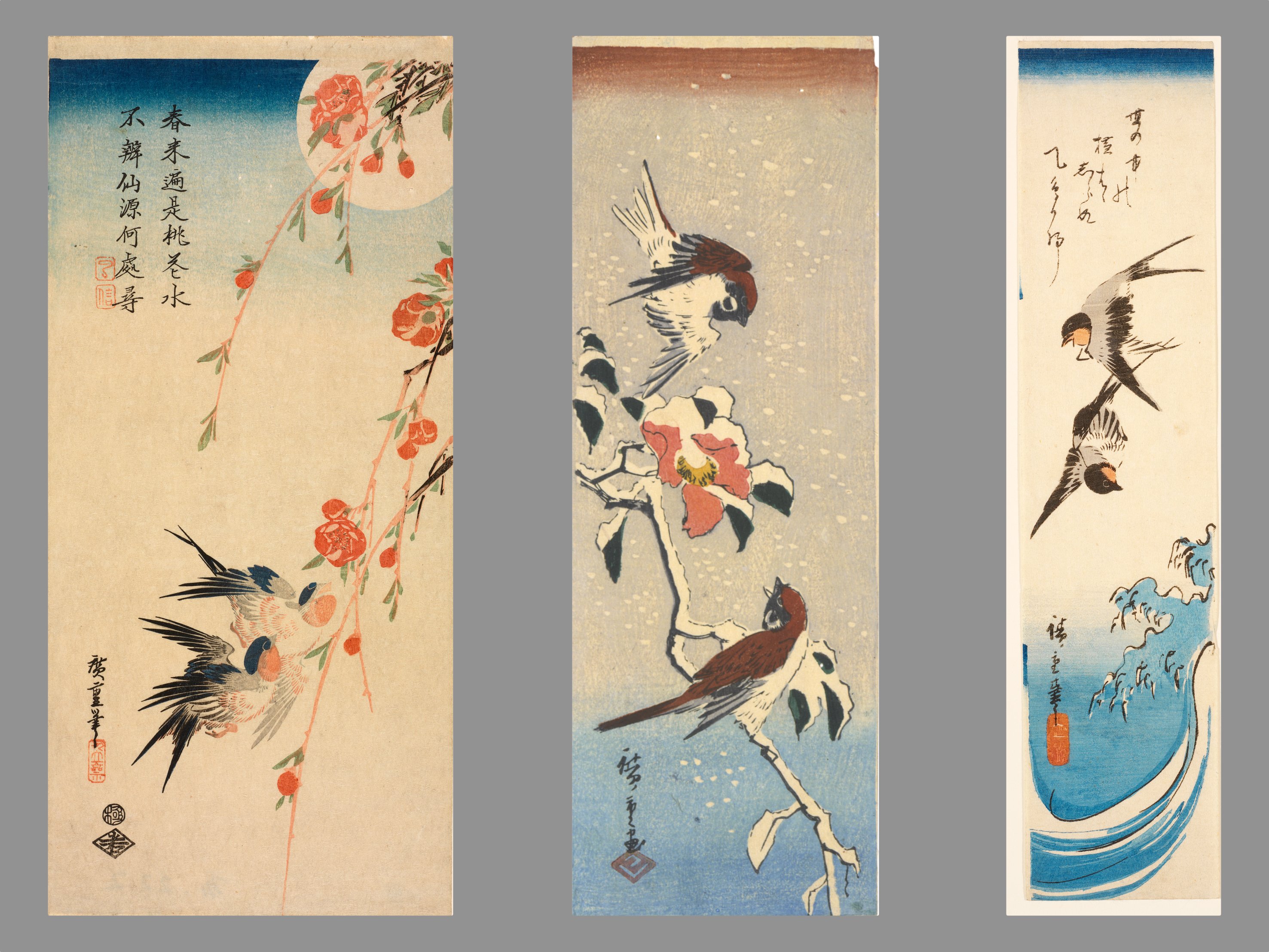 トーハクと千葉市美術館の《花鳥画》｜かわかわ