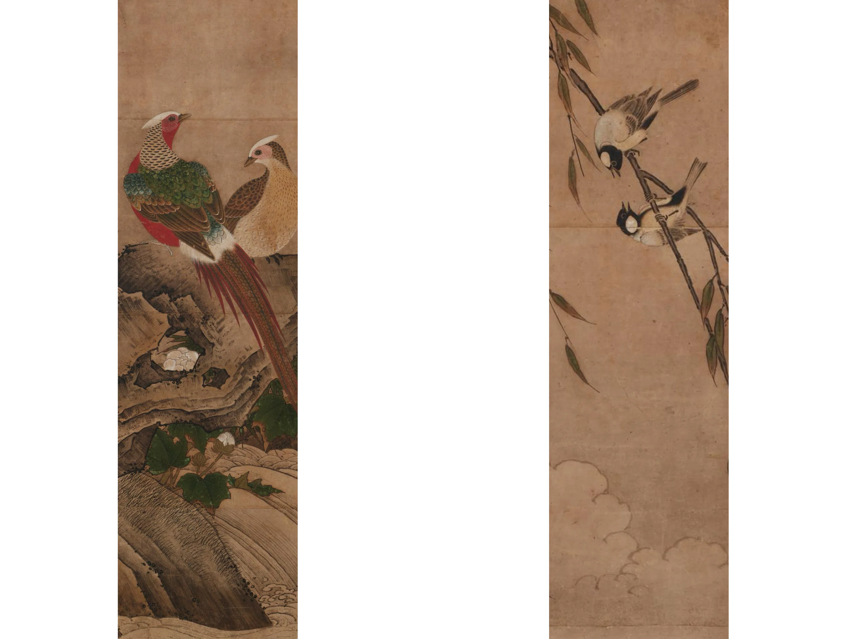 トーハクと千葉市美術館の《花鳥画》｜かわかわ