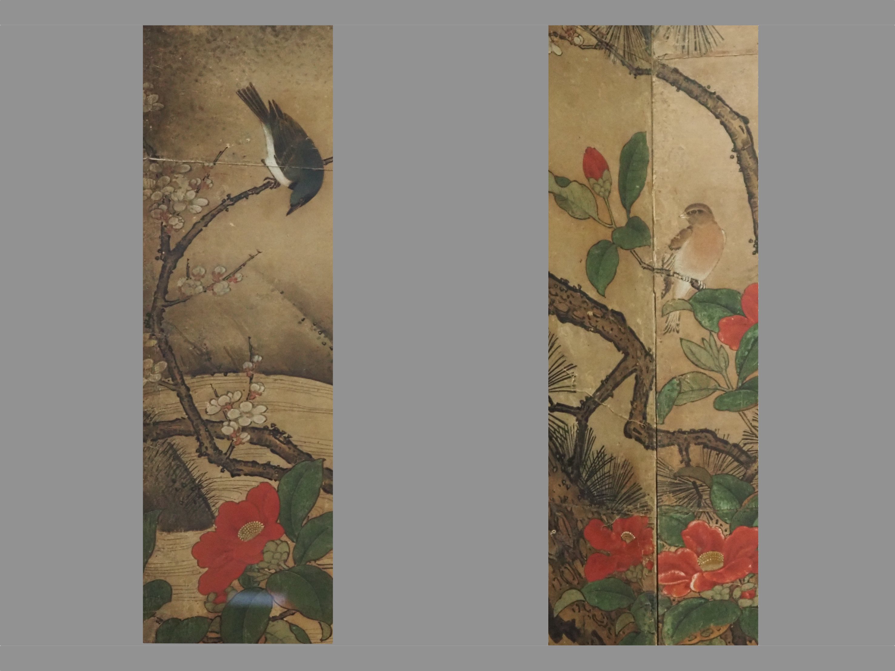 トーハクと千葉市美術館の《花鳥画》｜かわかわ