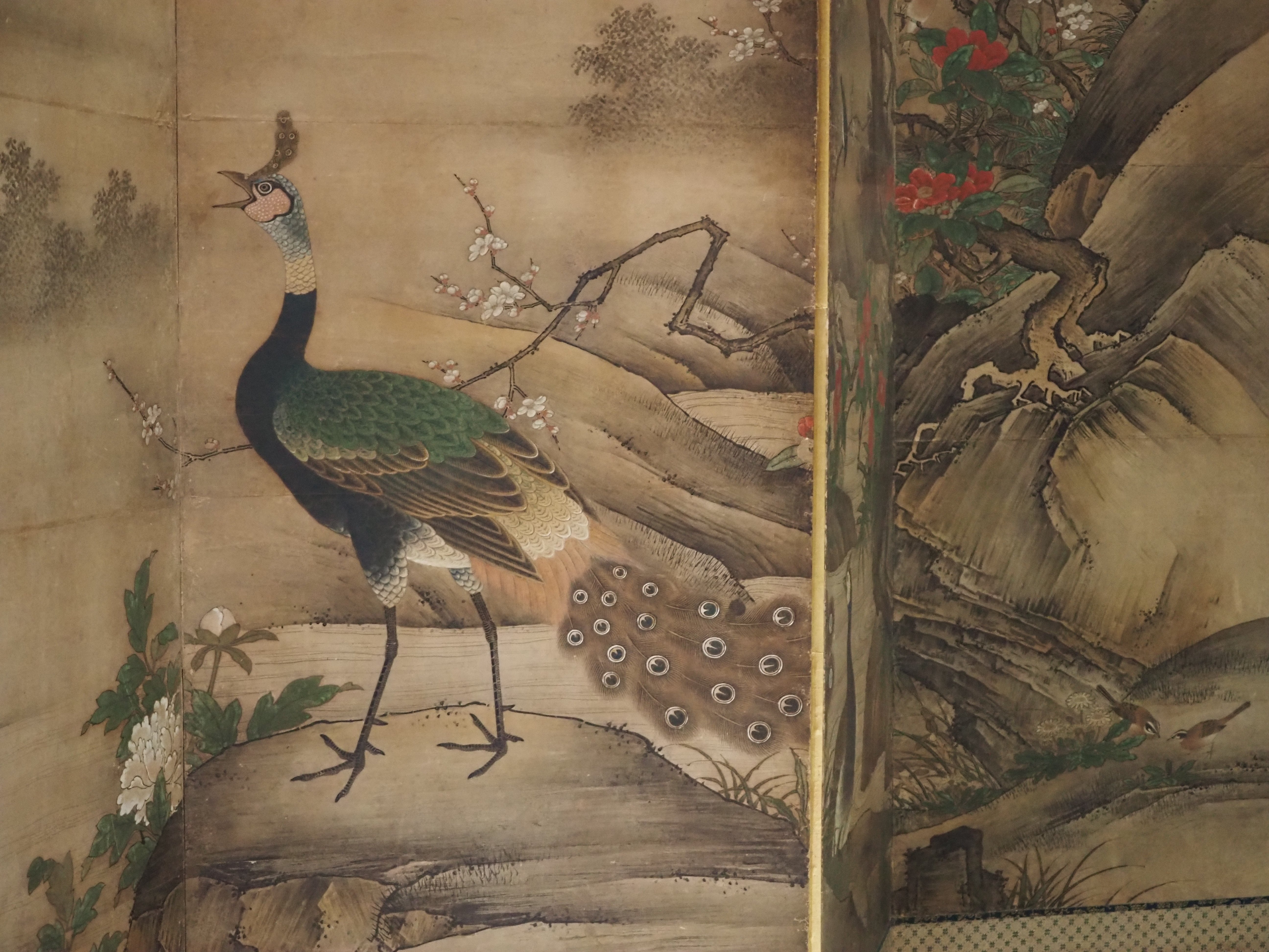 トーハクと千葉市美術館の《花鳥画》｜かわかわ