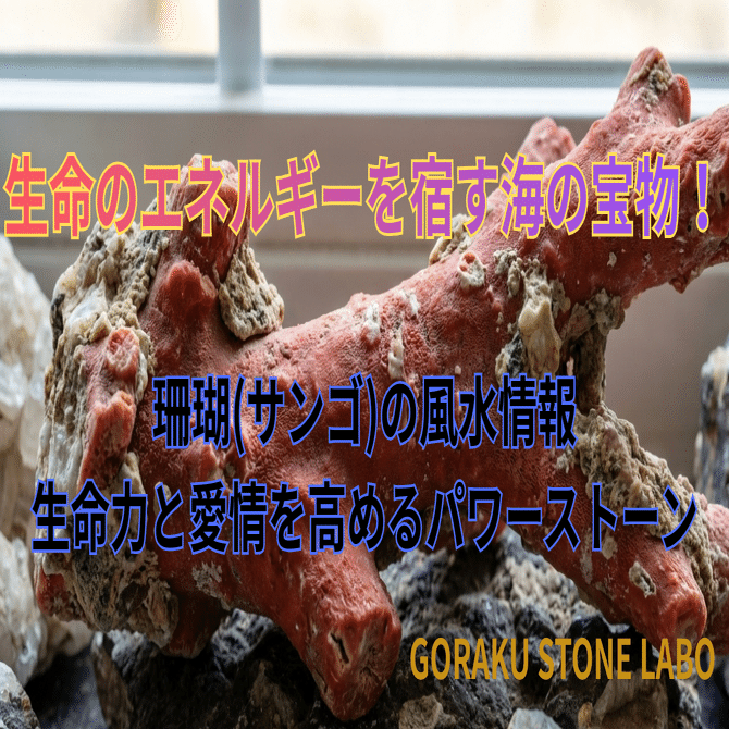 生命のエネルギーを宿す海の宝物！「珊瑚（サンゴ）」の魅力と