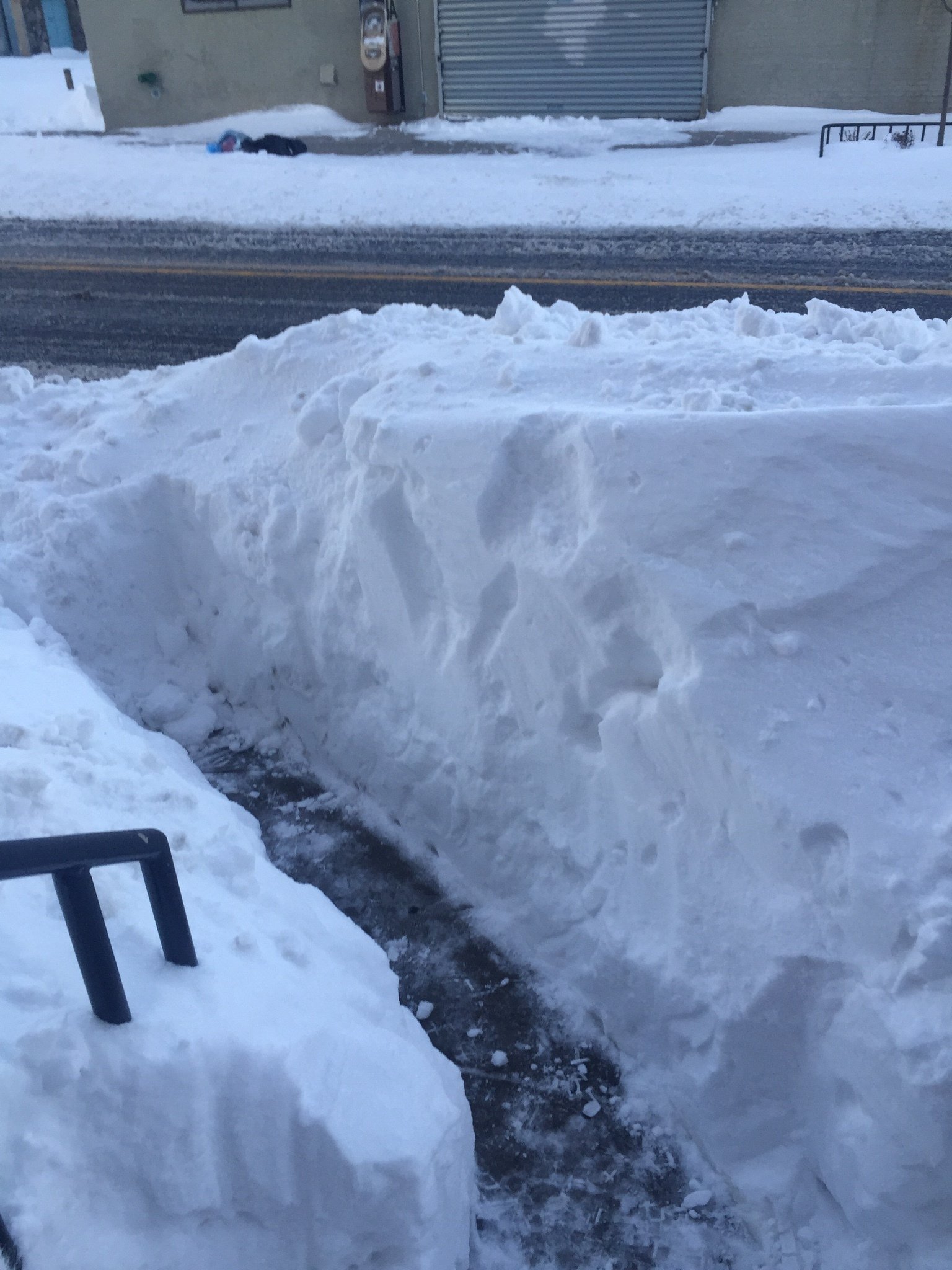 ニューヨーカーと猛吹雪の日曜日｜May
