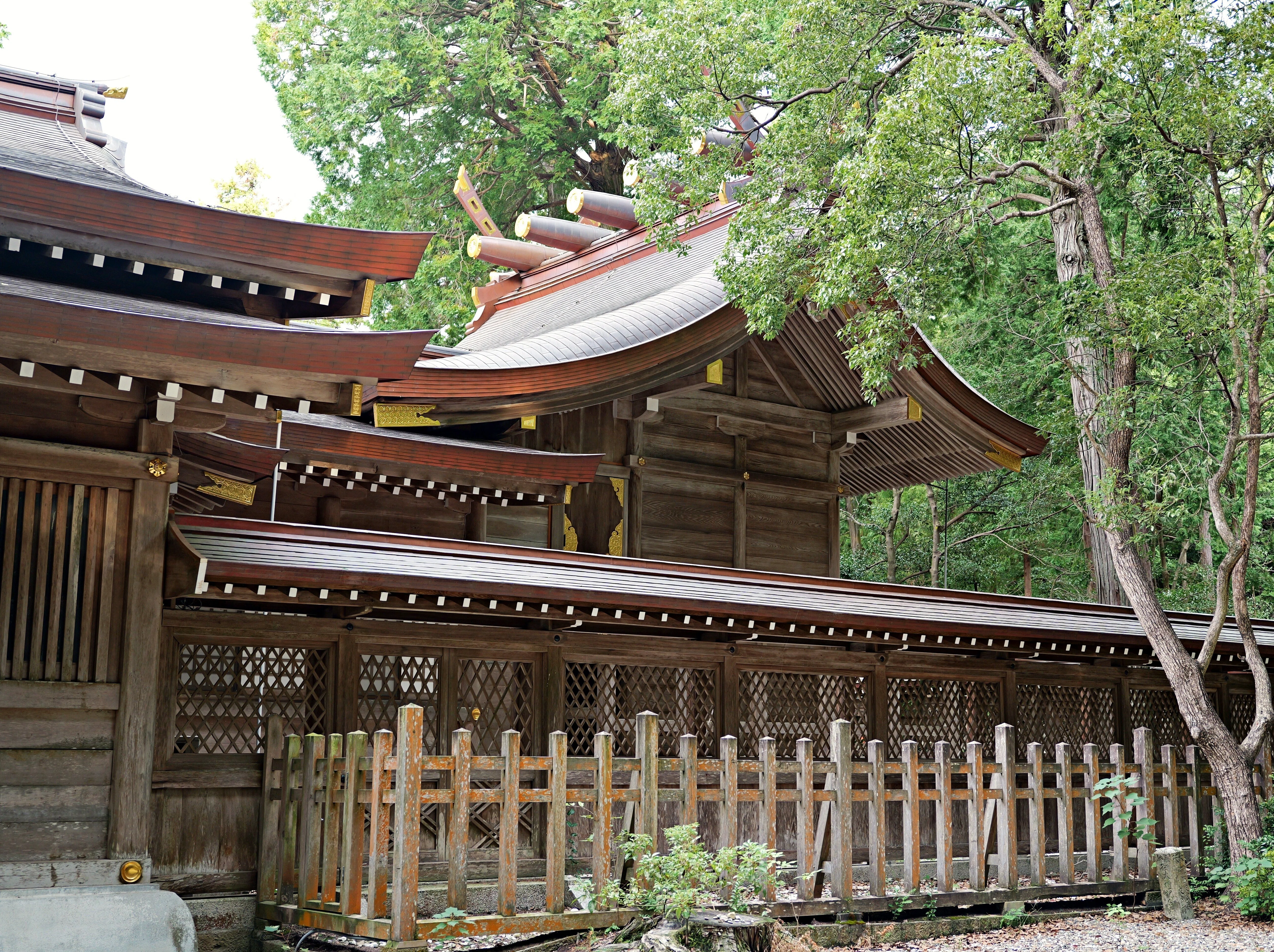 阿波國一宮名古刹神社シリーズ大麻比古神社木製新品未使用守護木札付き 