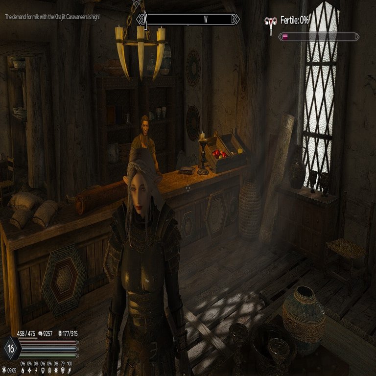 Linux+Skyrim SE(1.6.1170)+SKSE64 2.2.6+MOD環境を構築する（MOD導入編）｜takamitsu_h