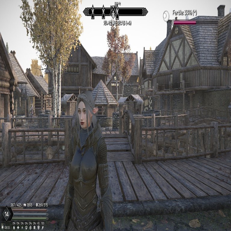 Linux+Skyrim SE(1.6.1170)+SKSE64 2.2.6+MOD環境を構築する（MOD導入編）｜takamitsu_h