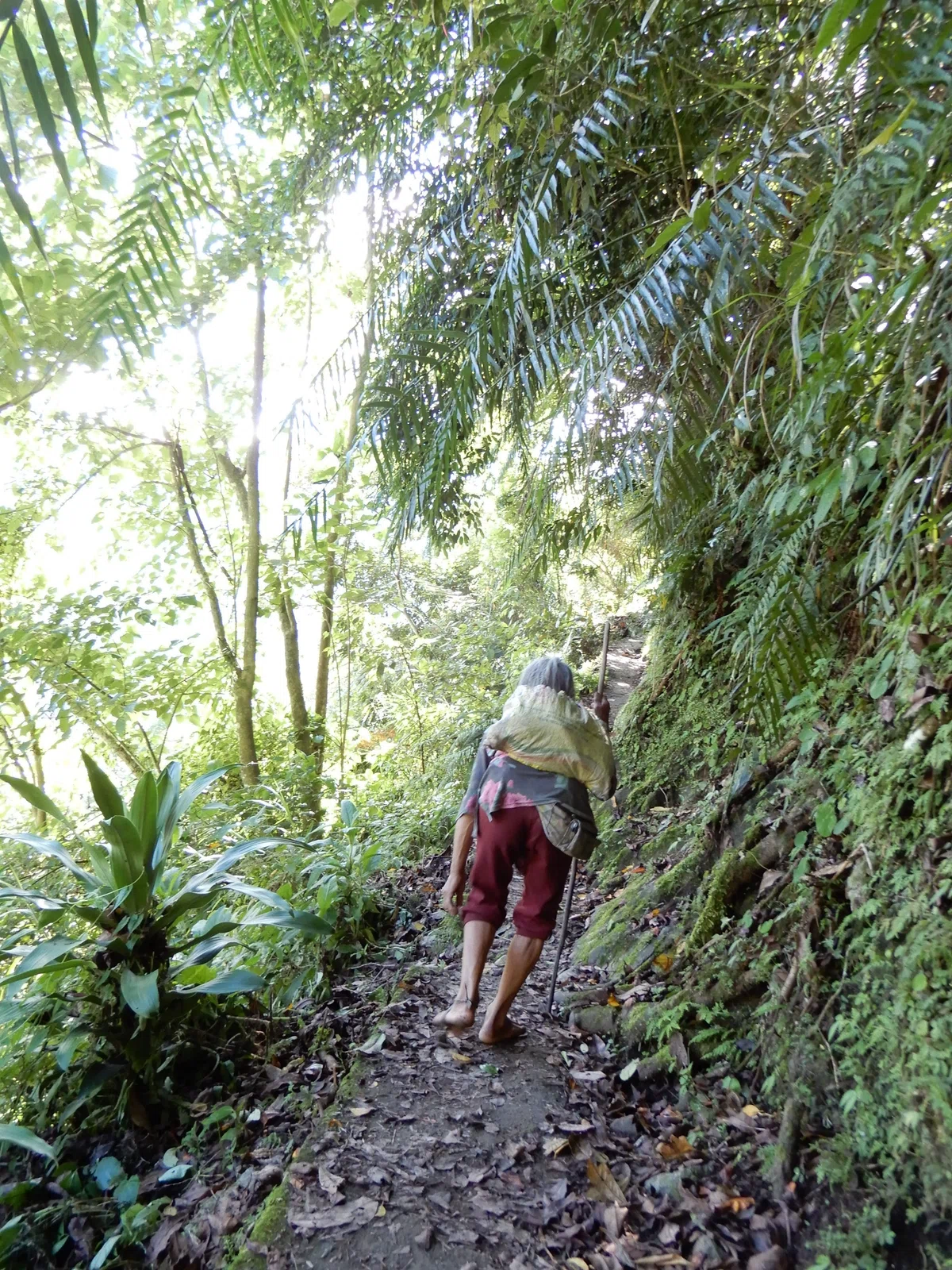 Phillipines Rice Terrace Does Being Able to Work Equal Women's Happiness? - Life-Changing ...