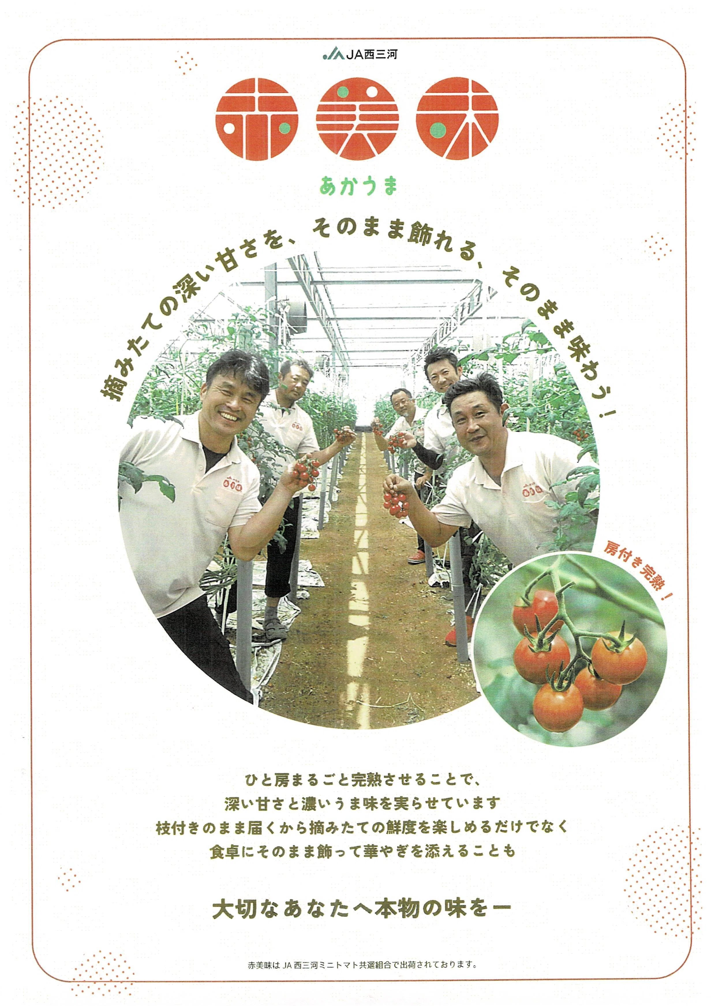 西尾の完熟房取りトマト～専門学校とコラボした「赤美味」のロゴ｜荒玉
