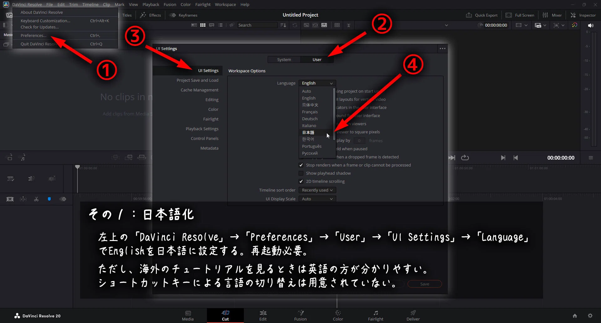 DaVinci Resolve の使い方 その1：日本語化｜らぁぎけん
