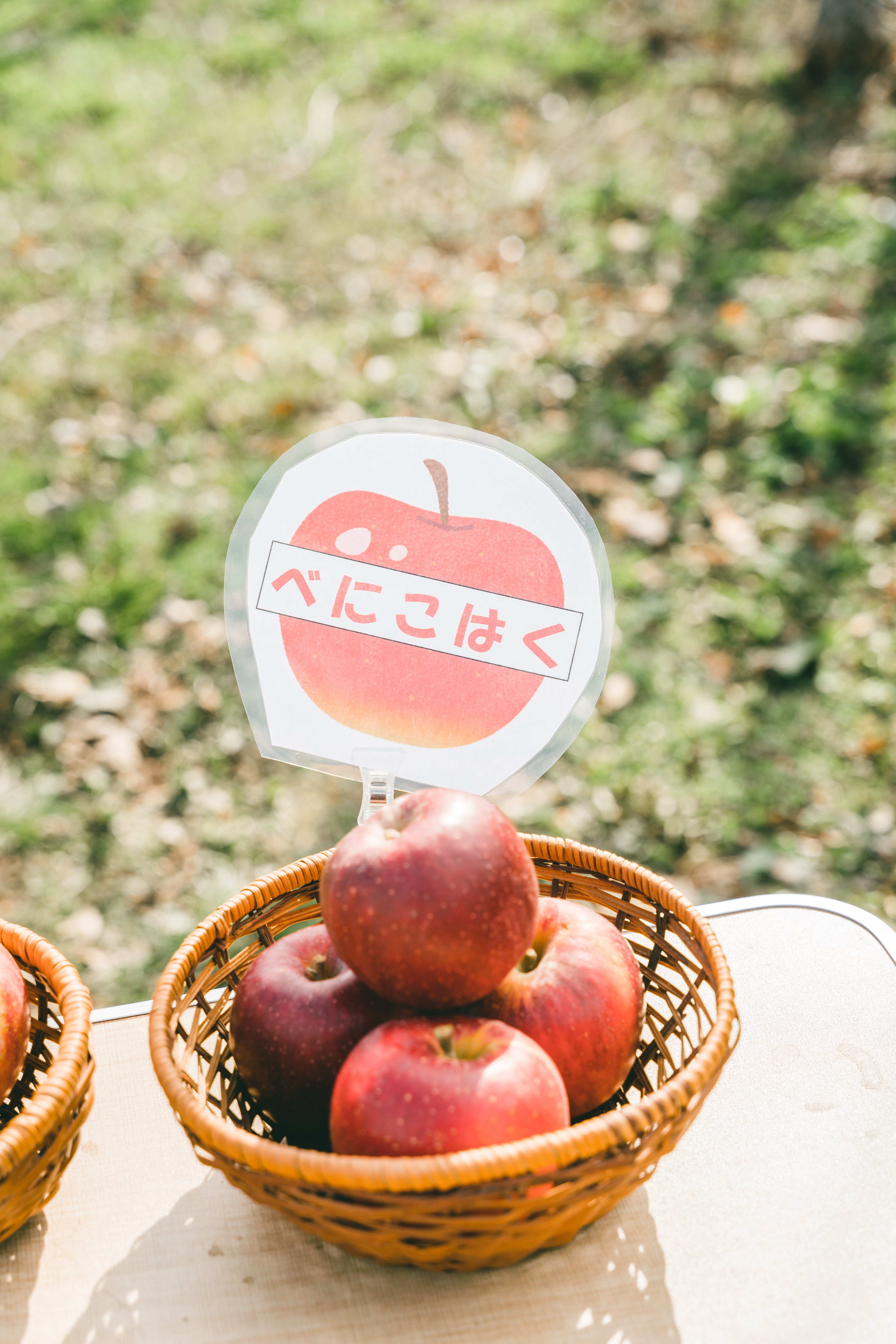 🍎〈品種が選べる！〉【農家直送】サンふじor紅こはく販売開始