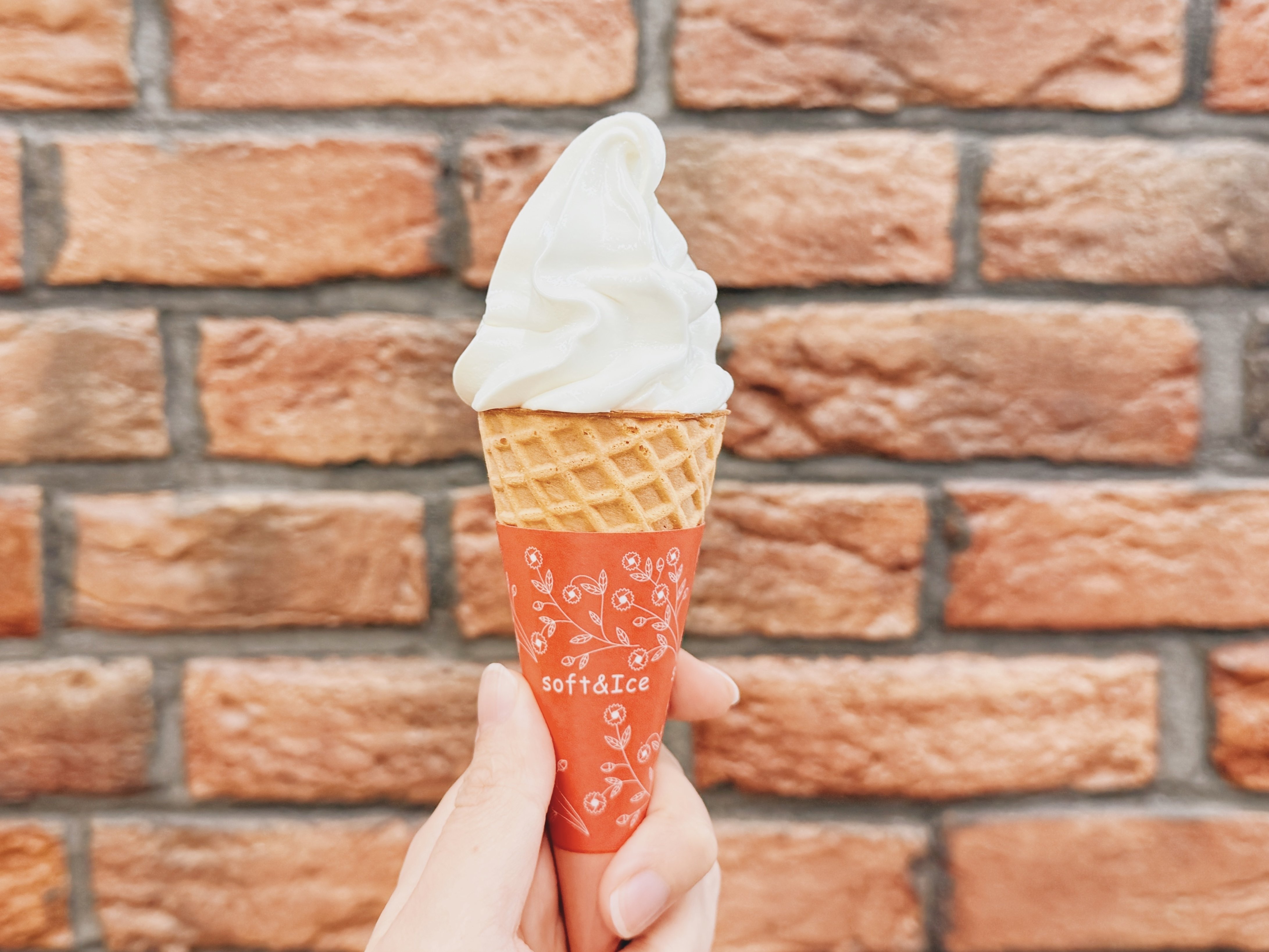 2025年1月26日〜2月1日のこと｜城