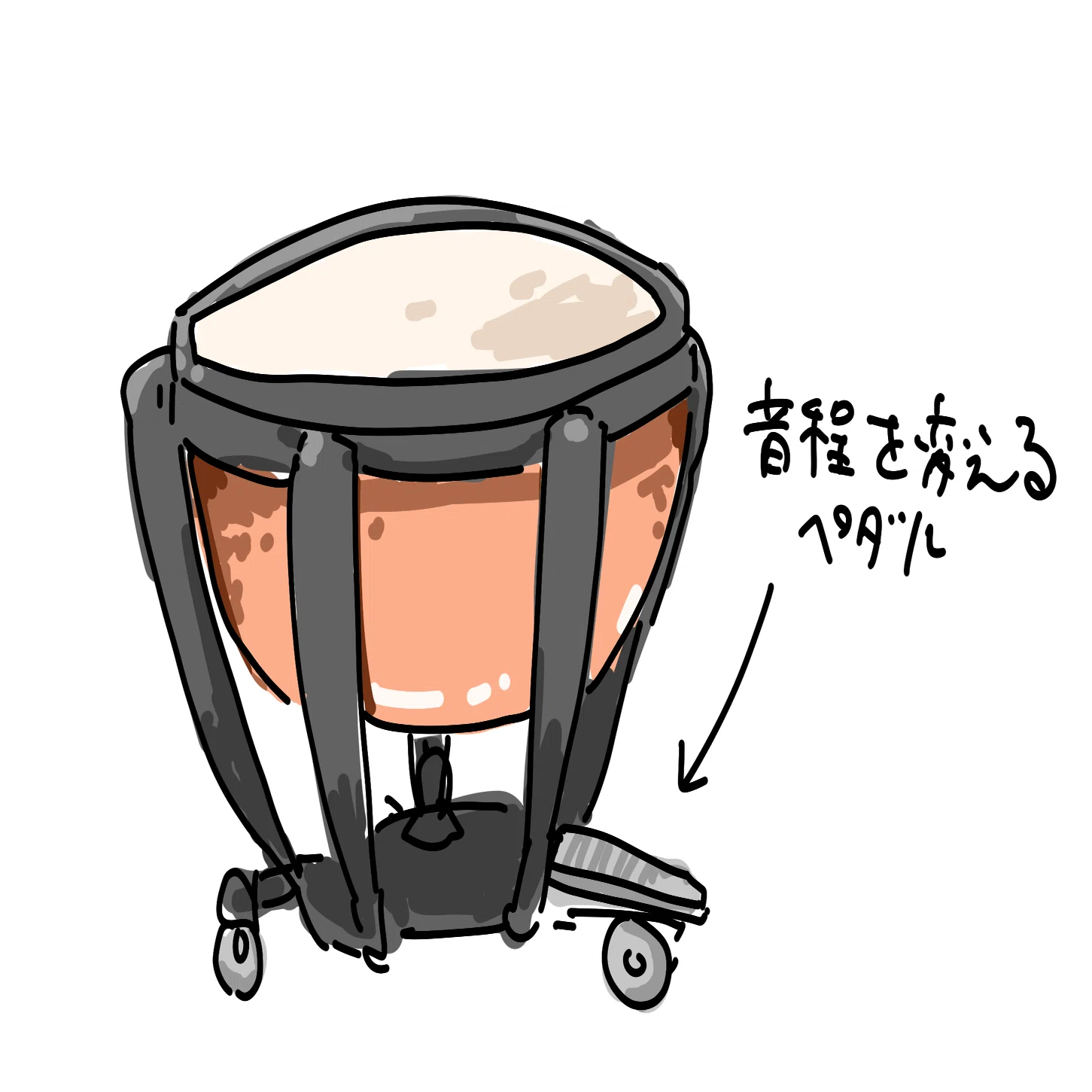 ティンパニってどういう楽器？｜くちぶえらぼ