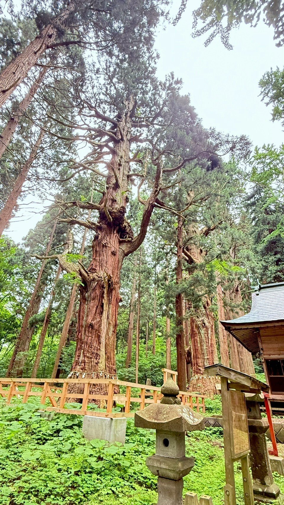 お山参詣✧♡⑦岩木山神社と巌鬼山神社｜あやのん