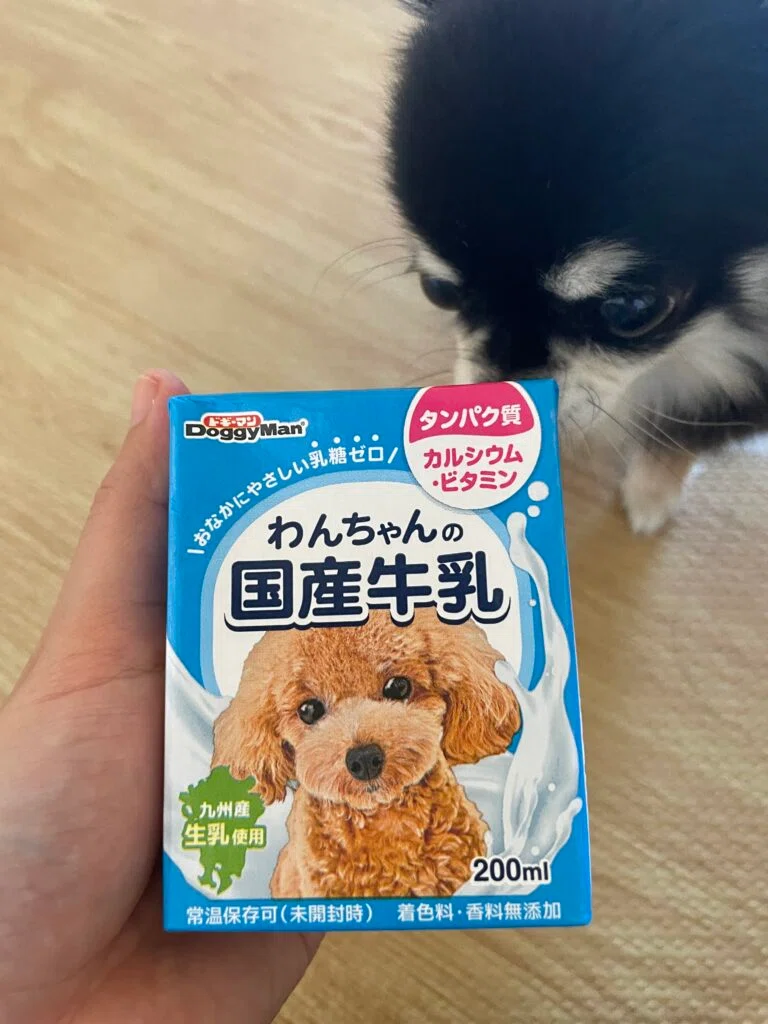お値下げ(フードロス) ロイヤルカナン流動食 ロイヤルカナンのリキッドが販売中止らしいので、作ってみた｜高良凪紗