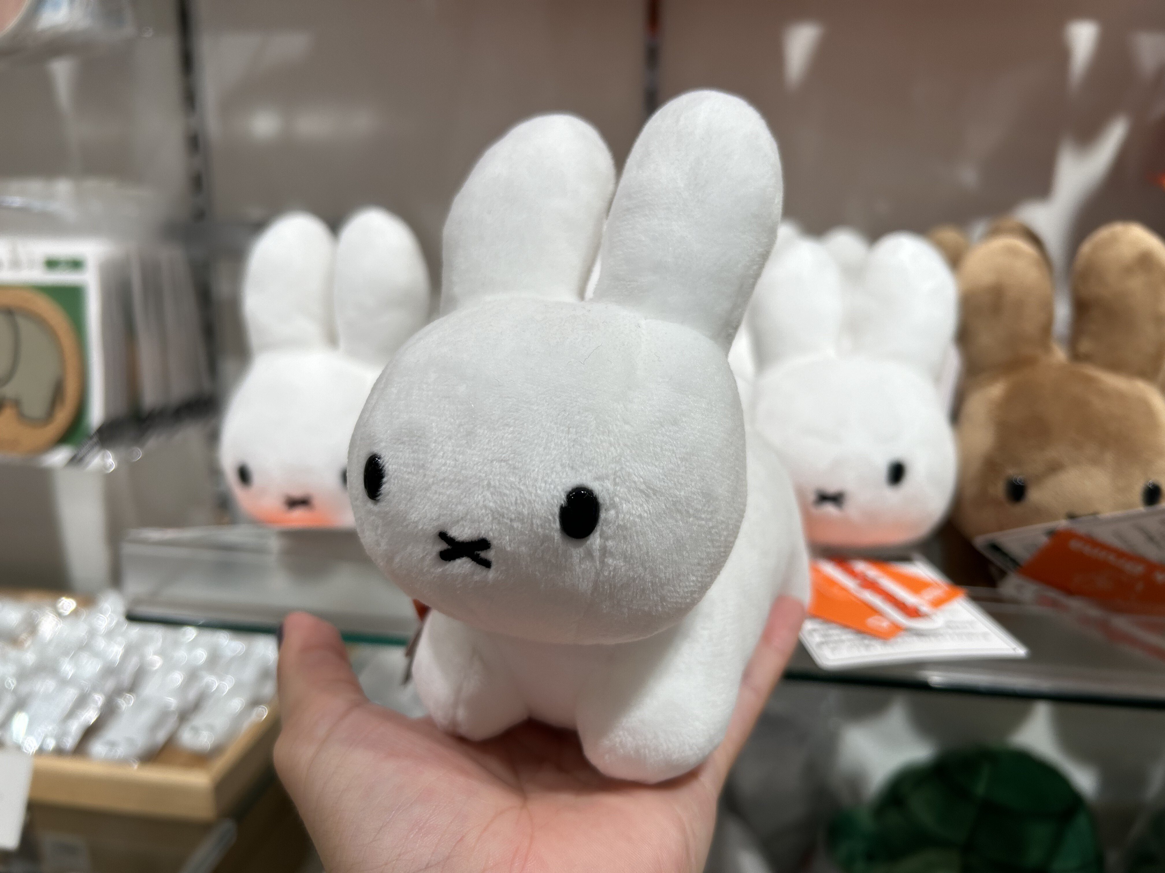 ぴょんちゃん｜blue studio