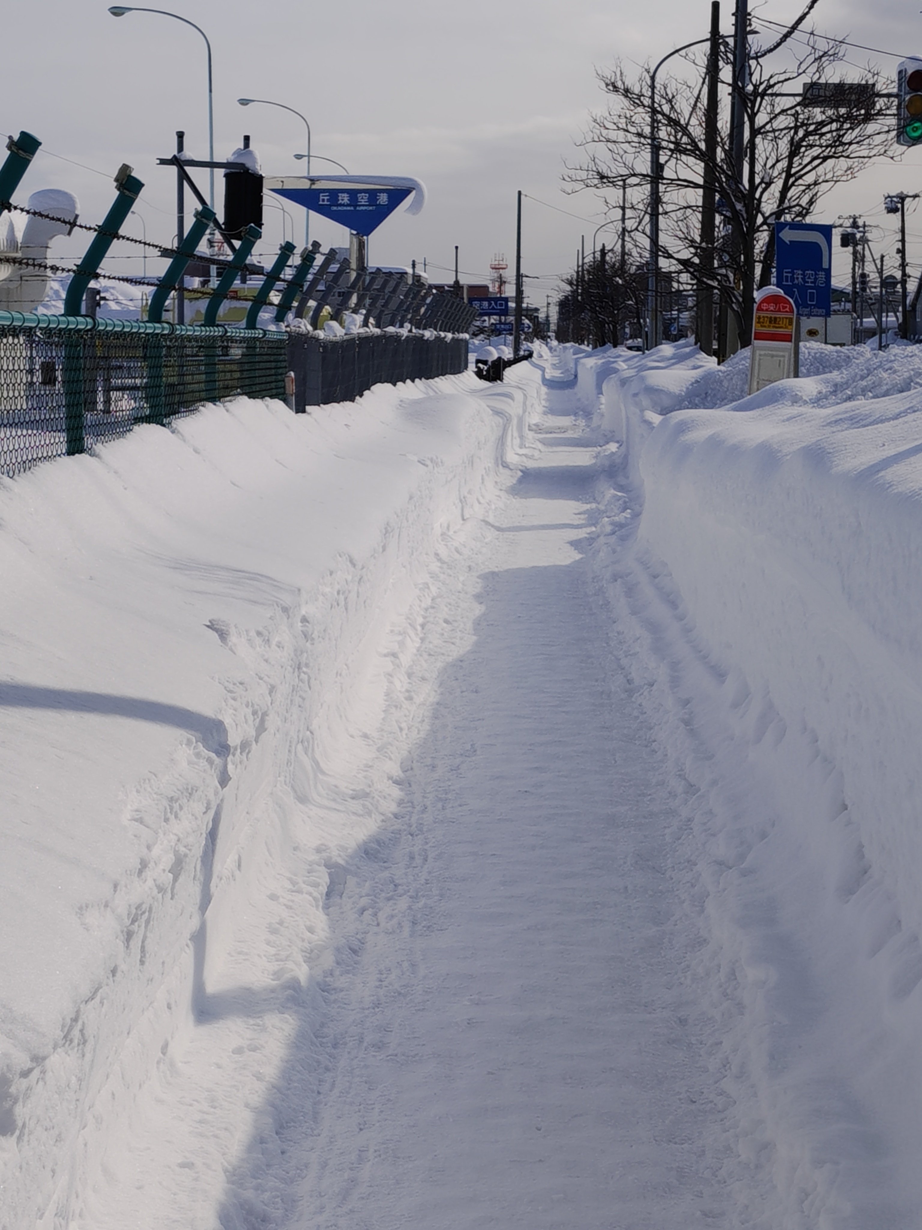 2026年JGCプレミア修行 ＜実行編＞ 5日目｜nobita