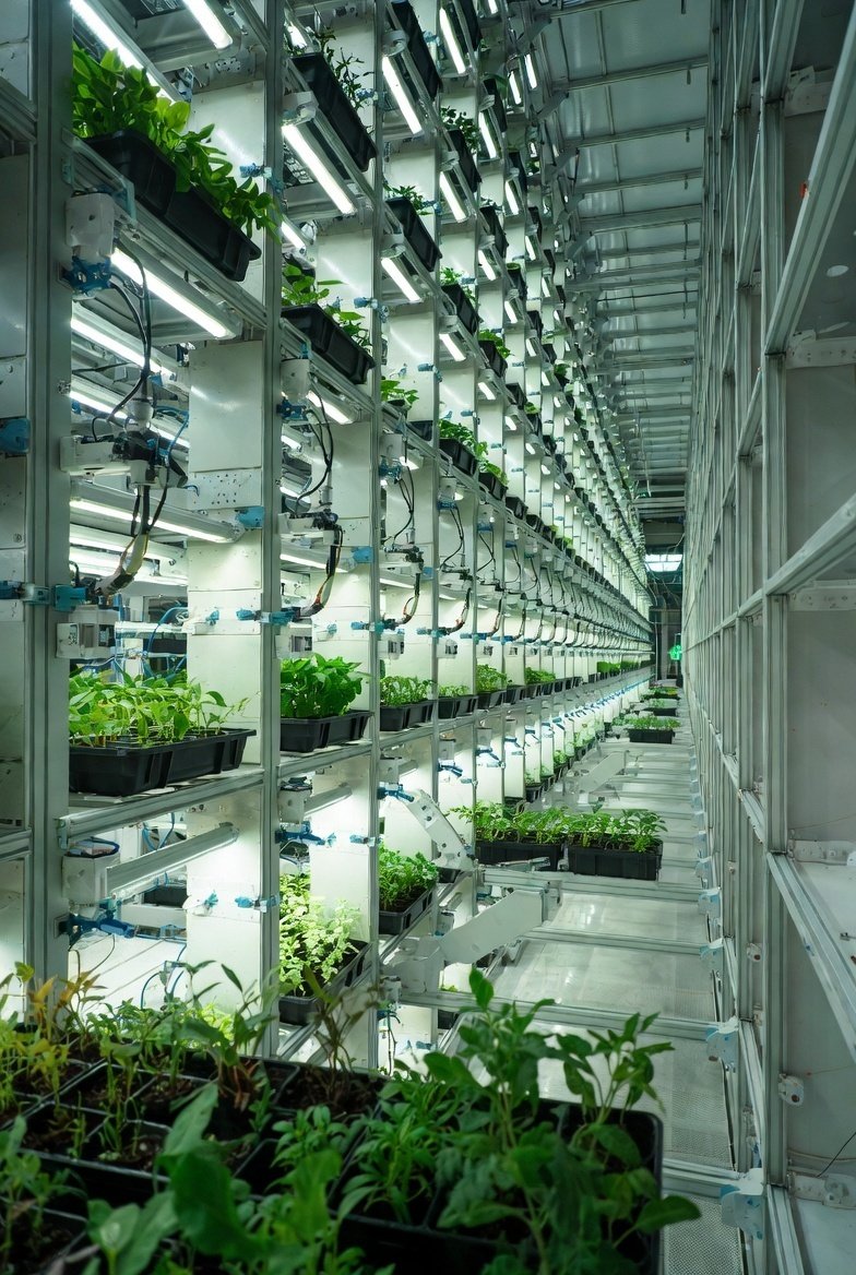 人工の塔が育む緑──植物工場は、人類の傲慢か、それとも必然の叡智か 孤独な女 欲求不満 おまん越したい メンヘラ 性欲強い女 一人でエロい 規律 哲学 夜に疼く 心の闇 一人ディシプリン