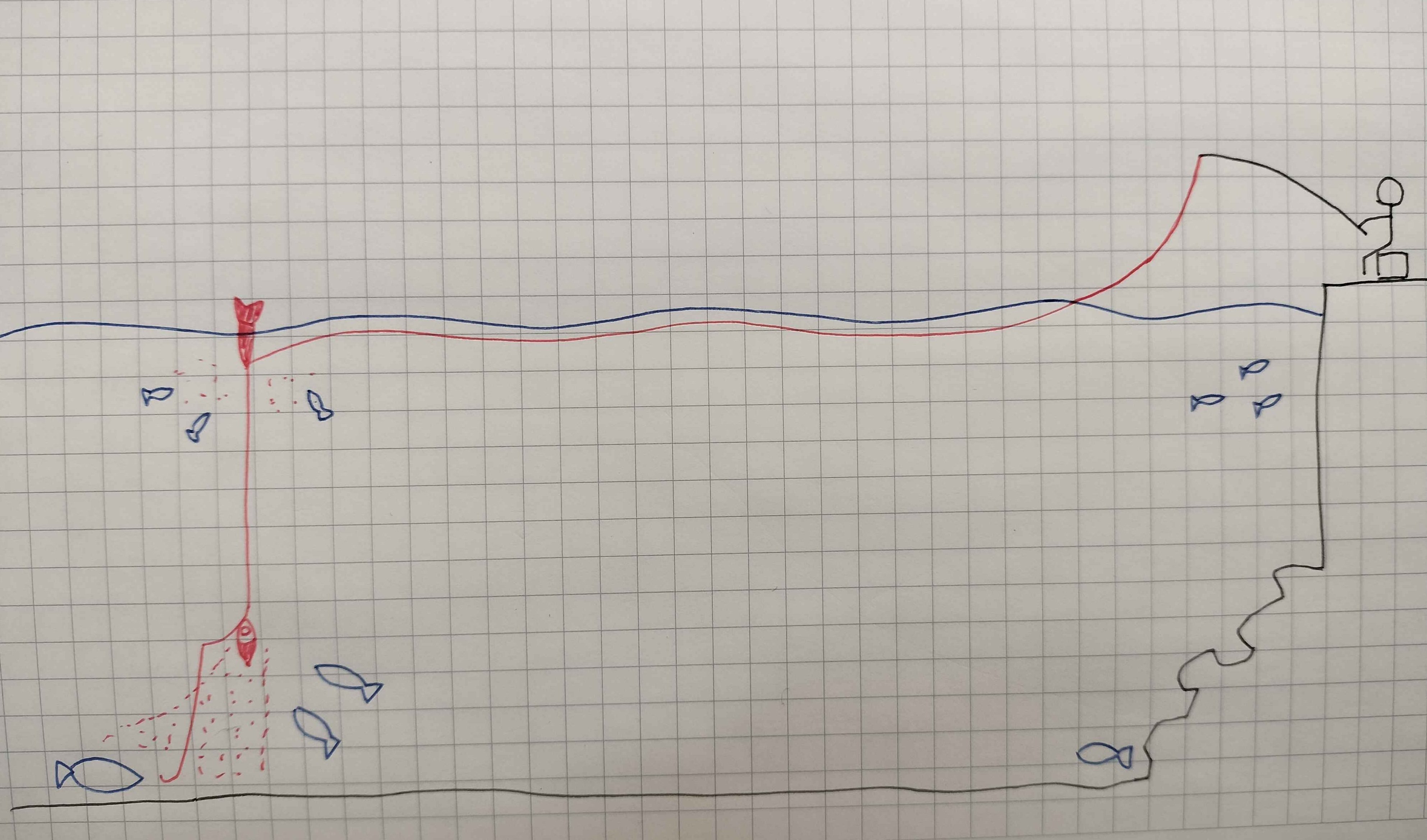 完全保存版】カゴ釣りの教科書｜遠投・ライト・道具・仕掛けの「正解