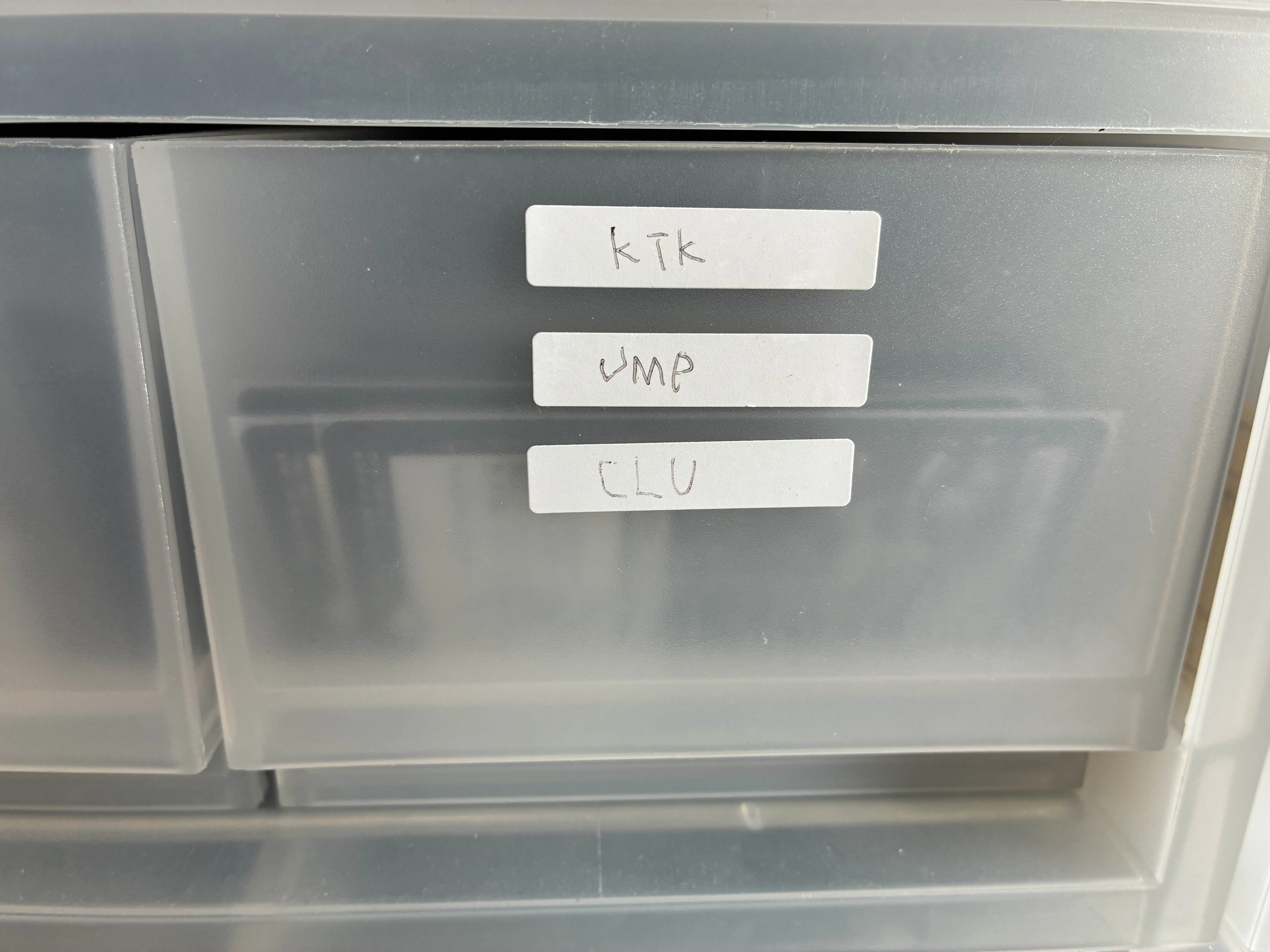 mtgの整理品 MtG】10万枚のカードを整理する方法｜白鳳