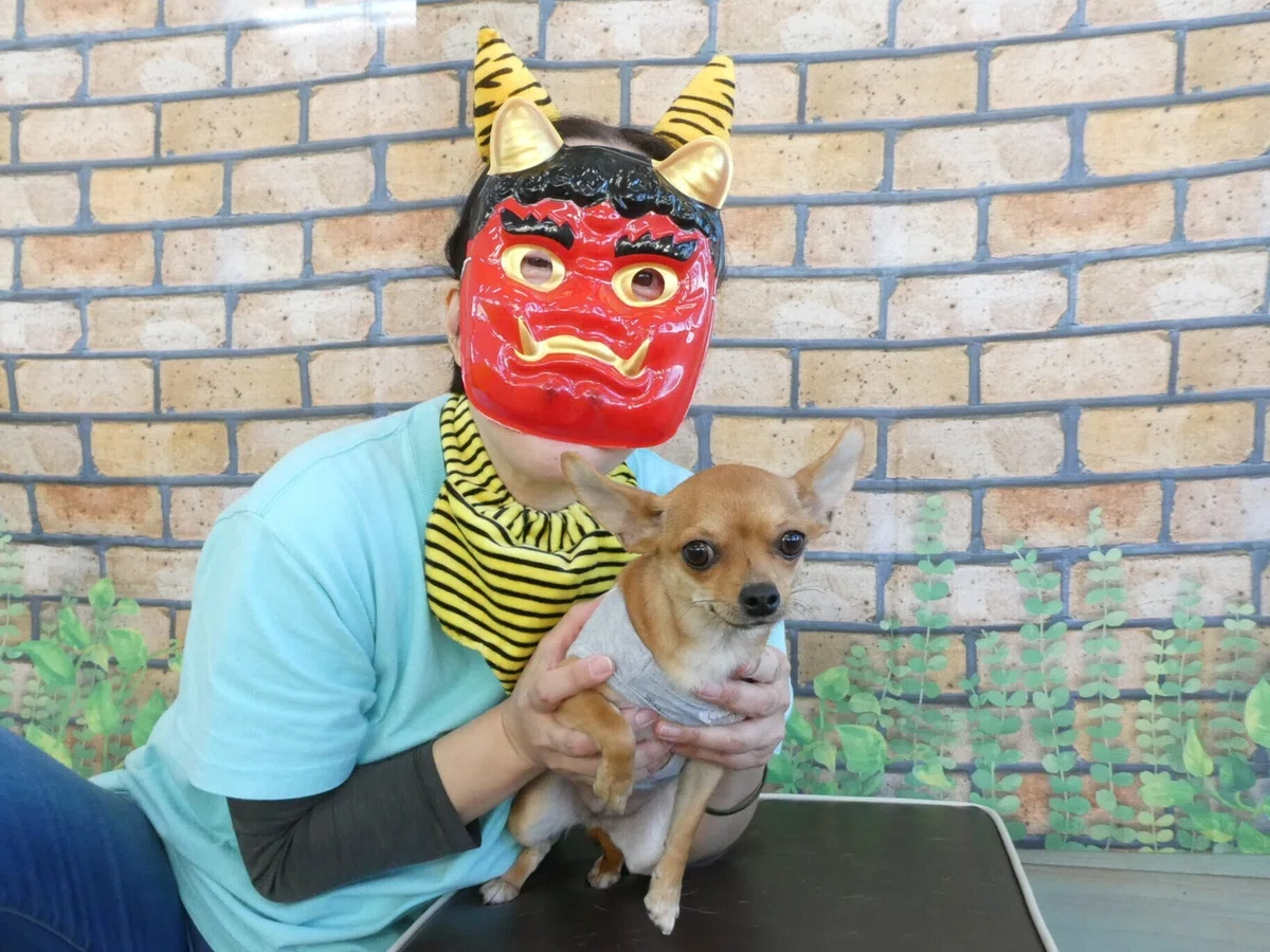 画像