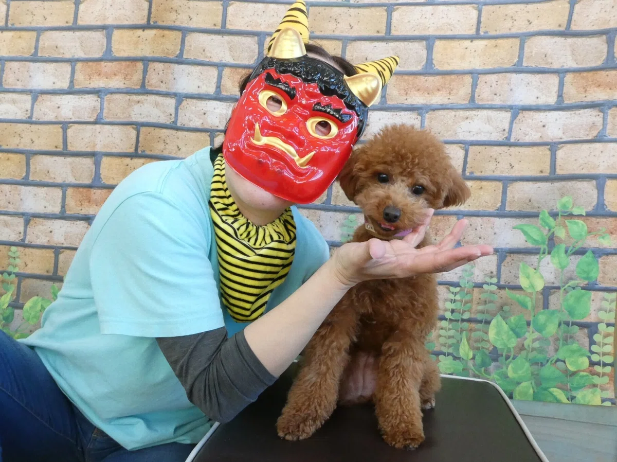 画像