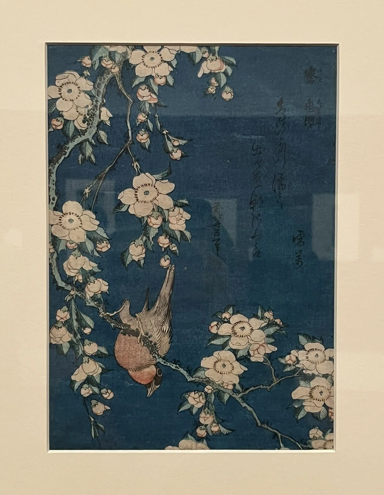 展覧会 #68 ロックフェラー・コレクション 花鳥版画展 北斎、広重を