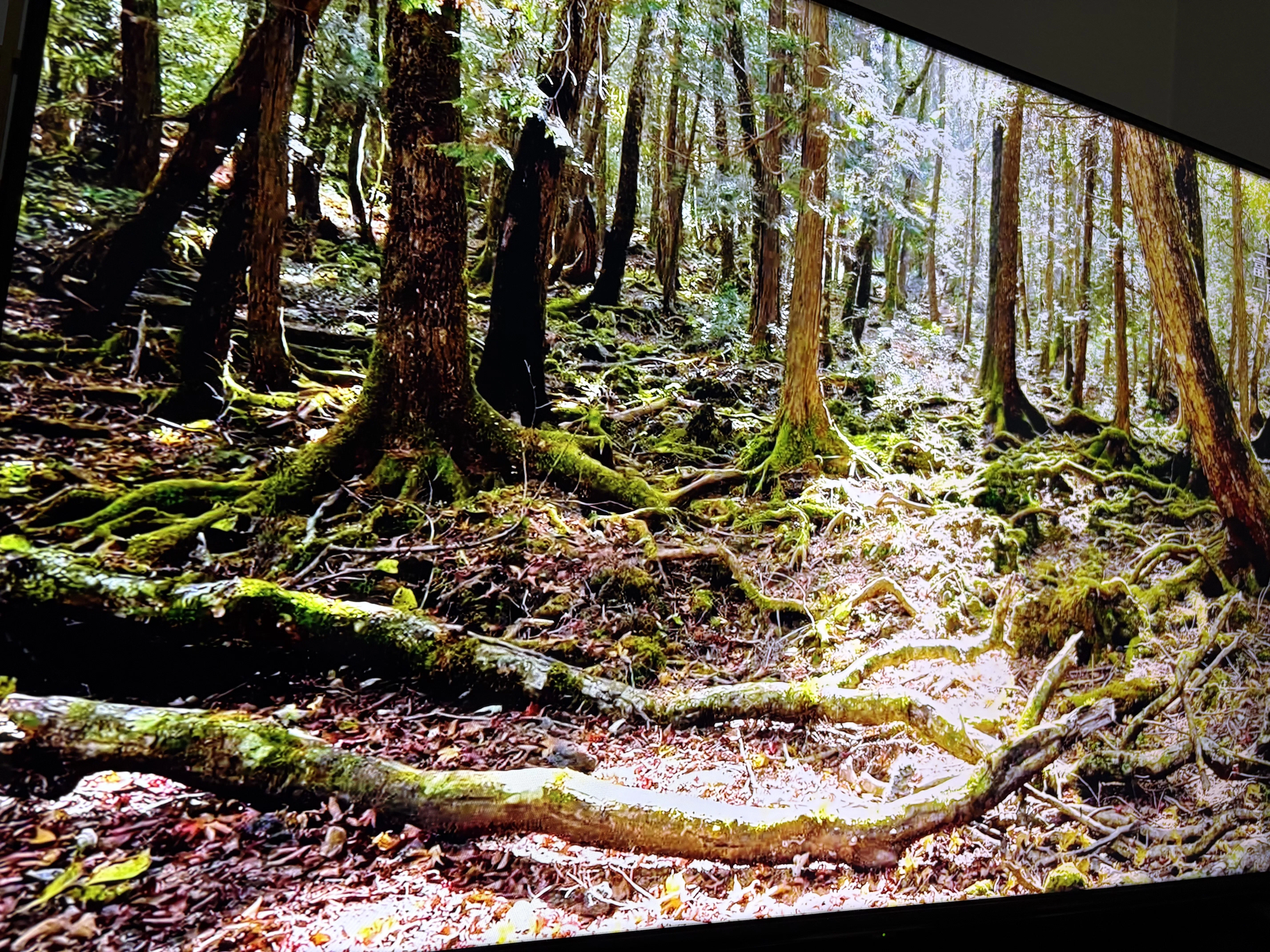 写真「天界からの光」Joshua 額装 富士山 自然 風景 J 極楽浄土 #富士山 #雲海 #御来光 #mtfuji #mt_fuji #fuji #fujisan