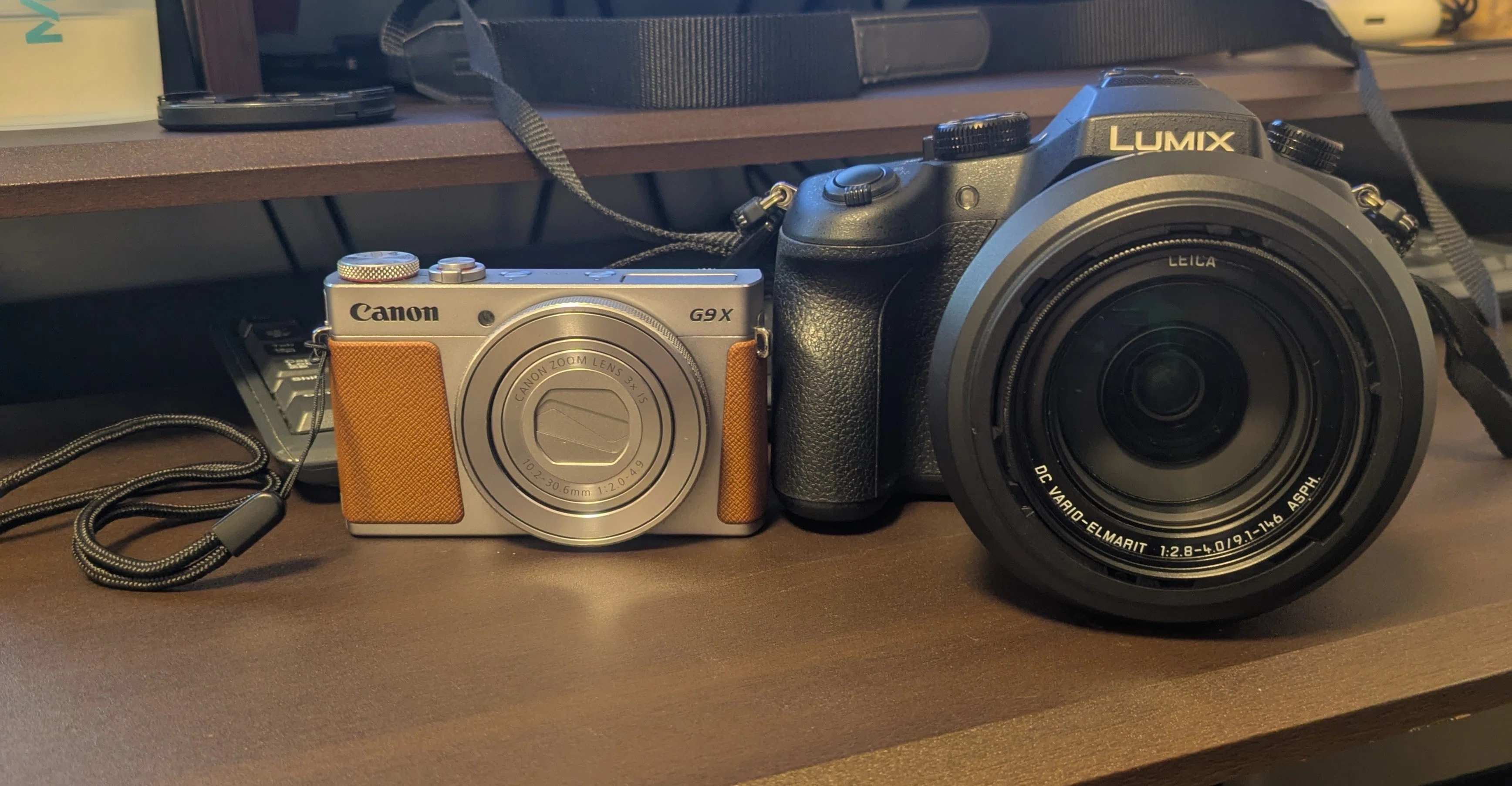 ネオ一眼、ご存知ですか？【LUMIX DMC-FZ1000レビュー】｜イノさん