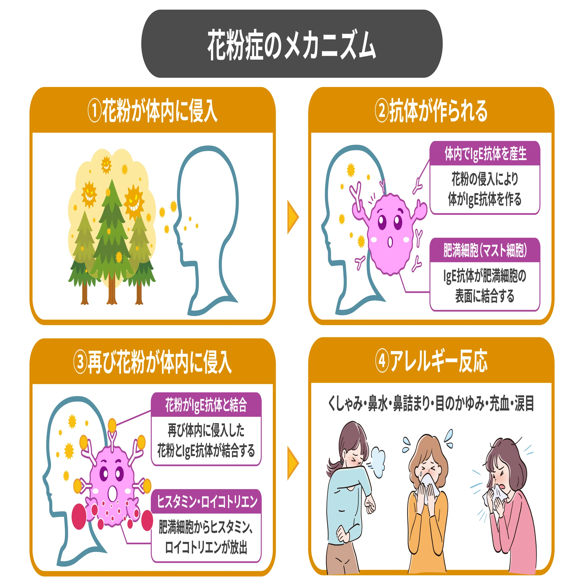 花粉 症 腸 内 環境