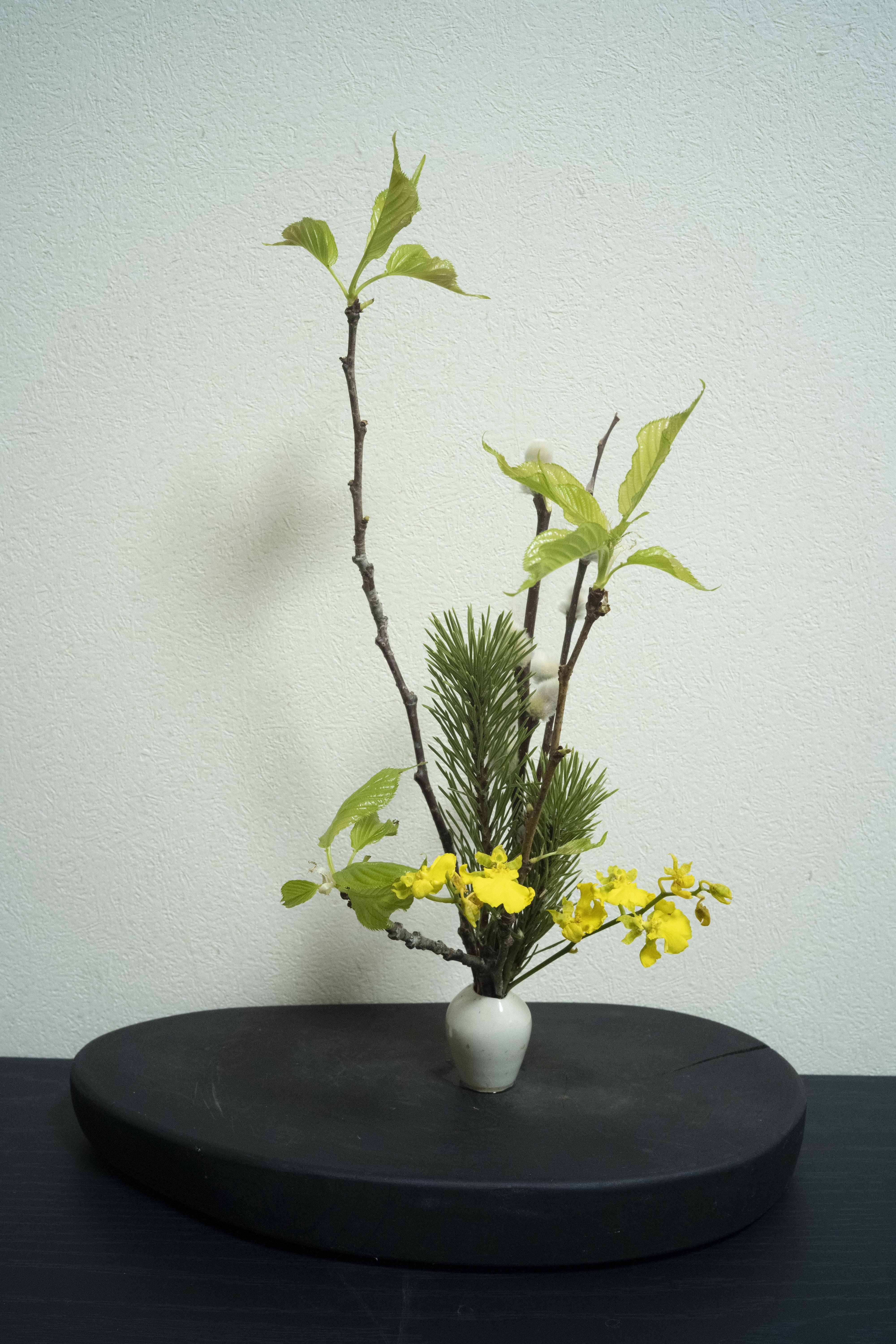 いけちゃいました～✨✨✨✨🎵ミニチュア生け花⑮ ～白い器でいけるの