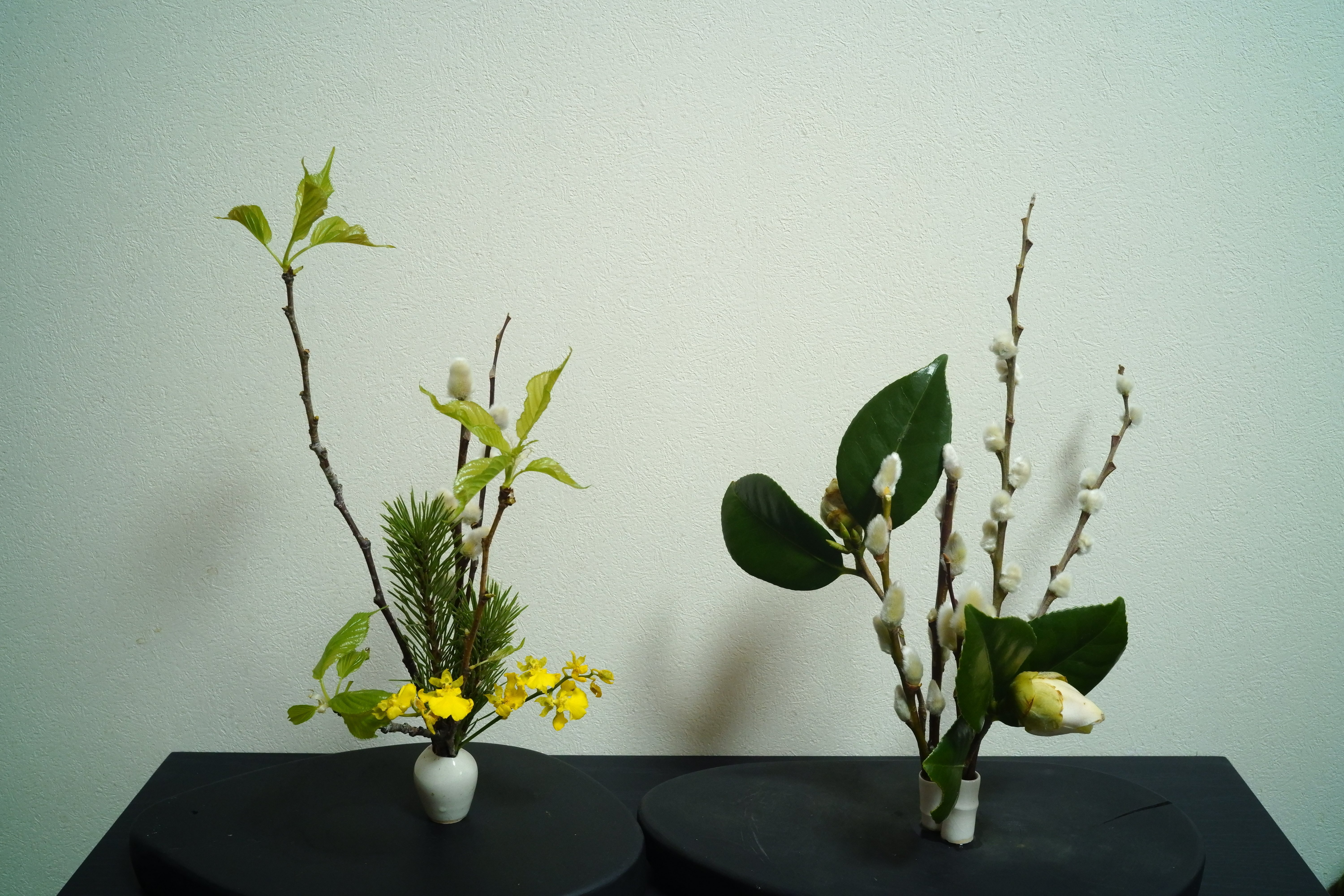 いけちゃいました～✨✨✨✨🎵ミニチュア生け花⑮ ～白い器でいけるの