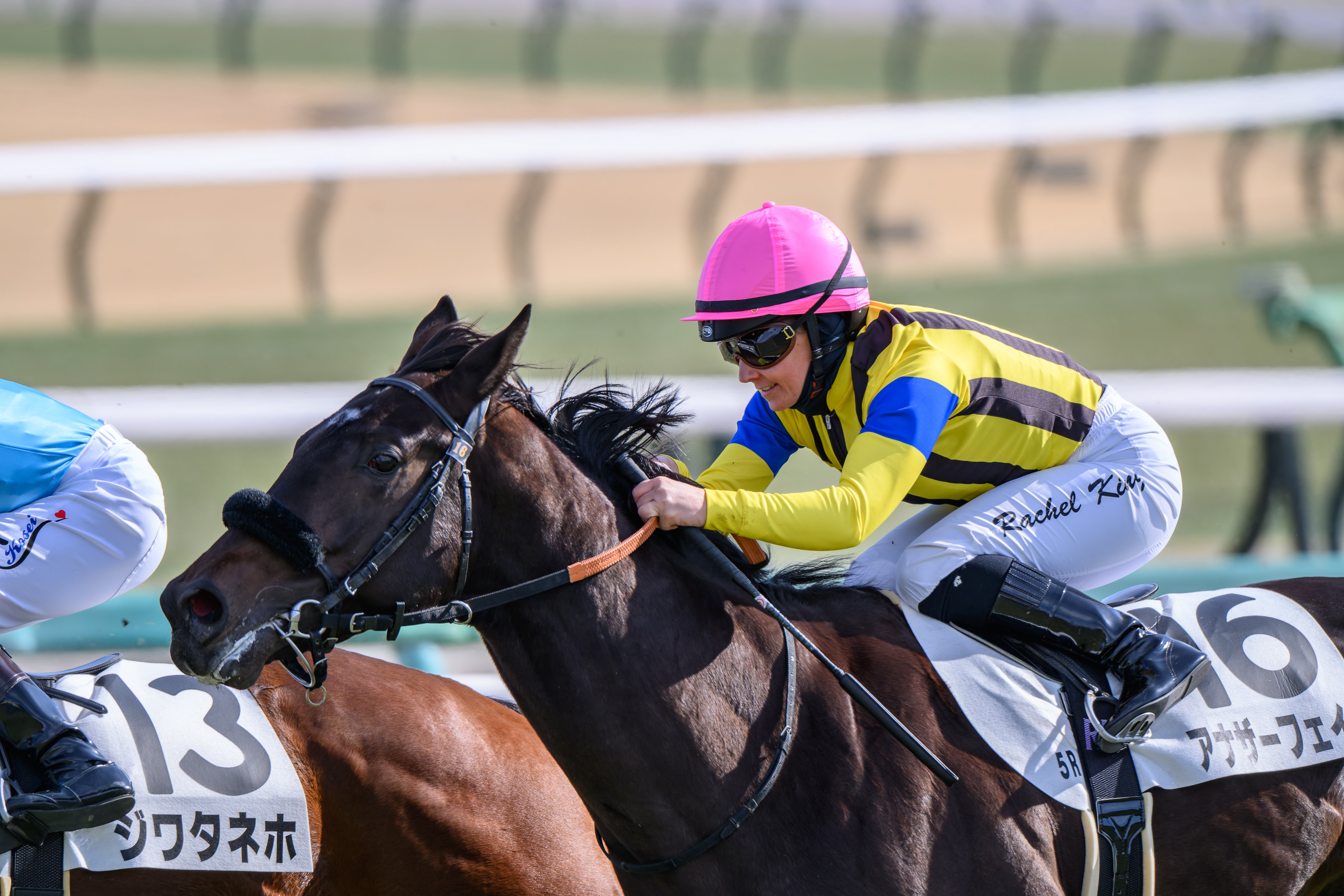 30 午年こそ競馬撮影に励んでいきたい｜NIKKOR Z 180-600mm f/5.6-6.3