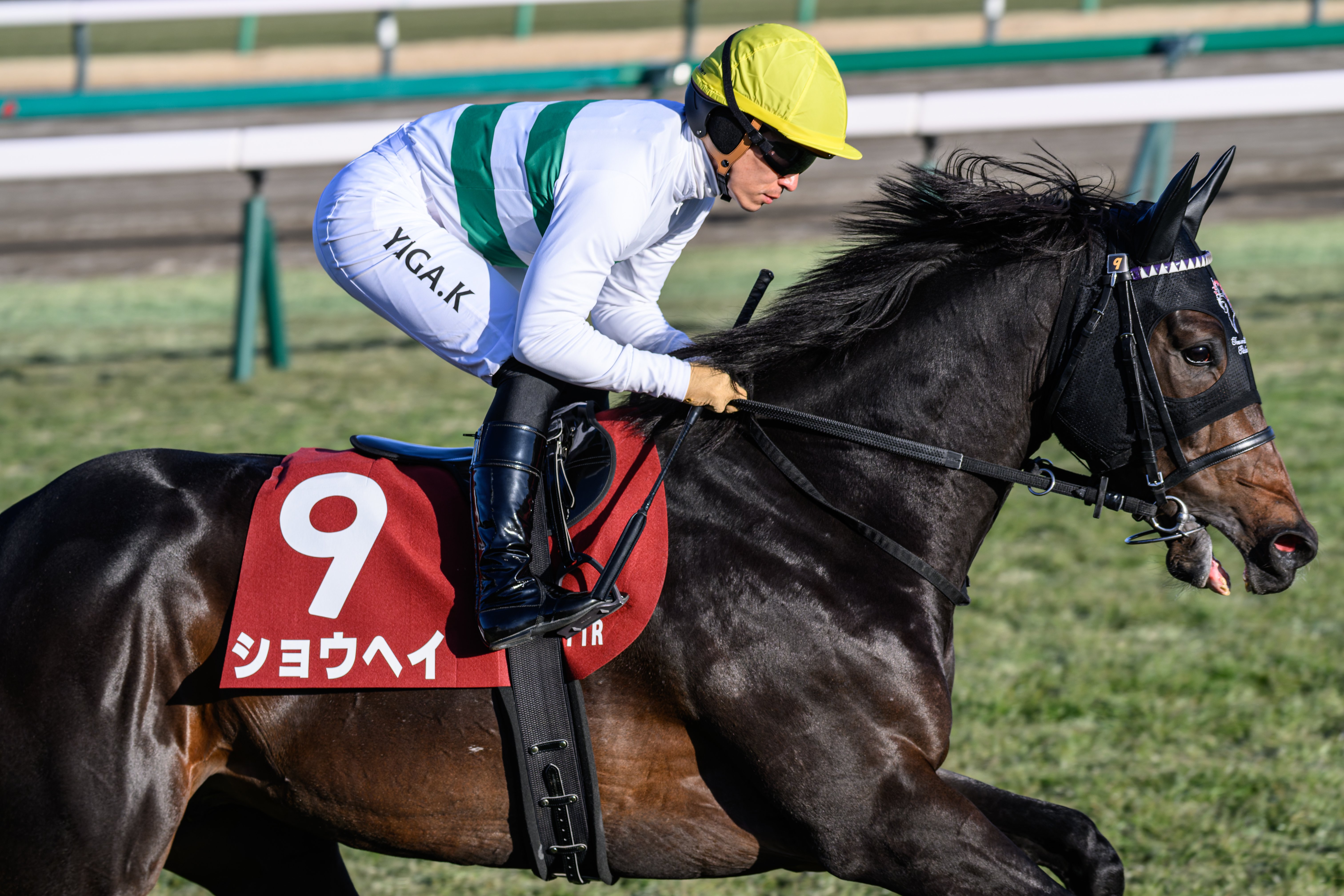 30 午年こそ競馬撮影に励んでいきたい｜NIKKOR Z 180-600mm f/5.6-6.3