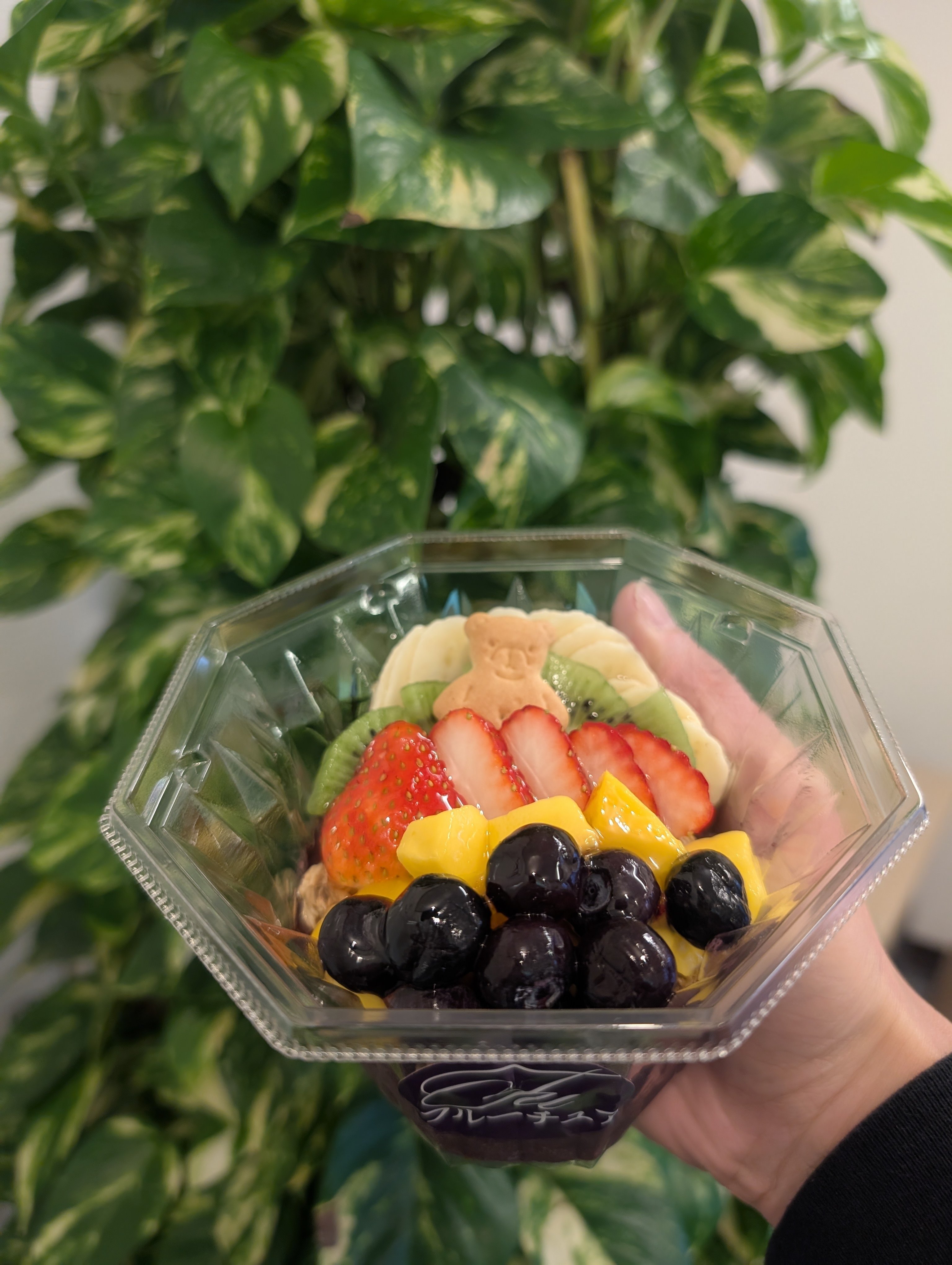 泉州の泉大津で人気上昇中！罪悪感ゼロスイーツのアサイーボウル&ソイ