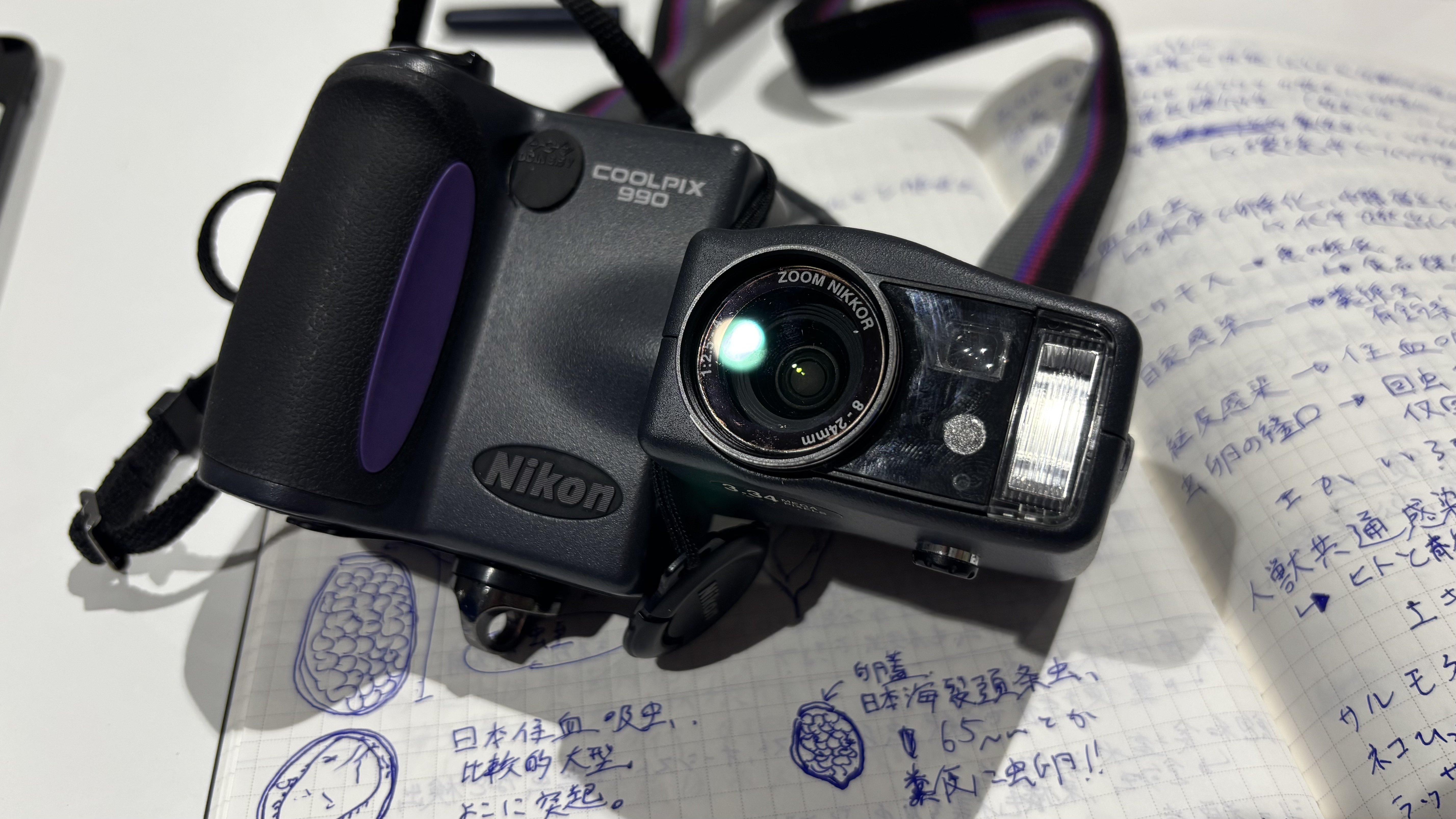 久しぶりmy new gear (COOLPIX 990)｜如月コグの散文的LIFE
