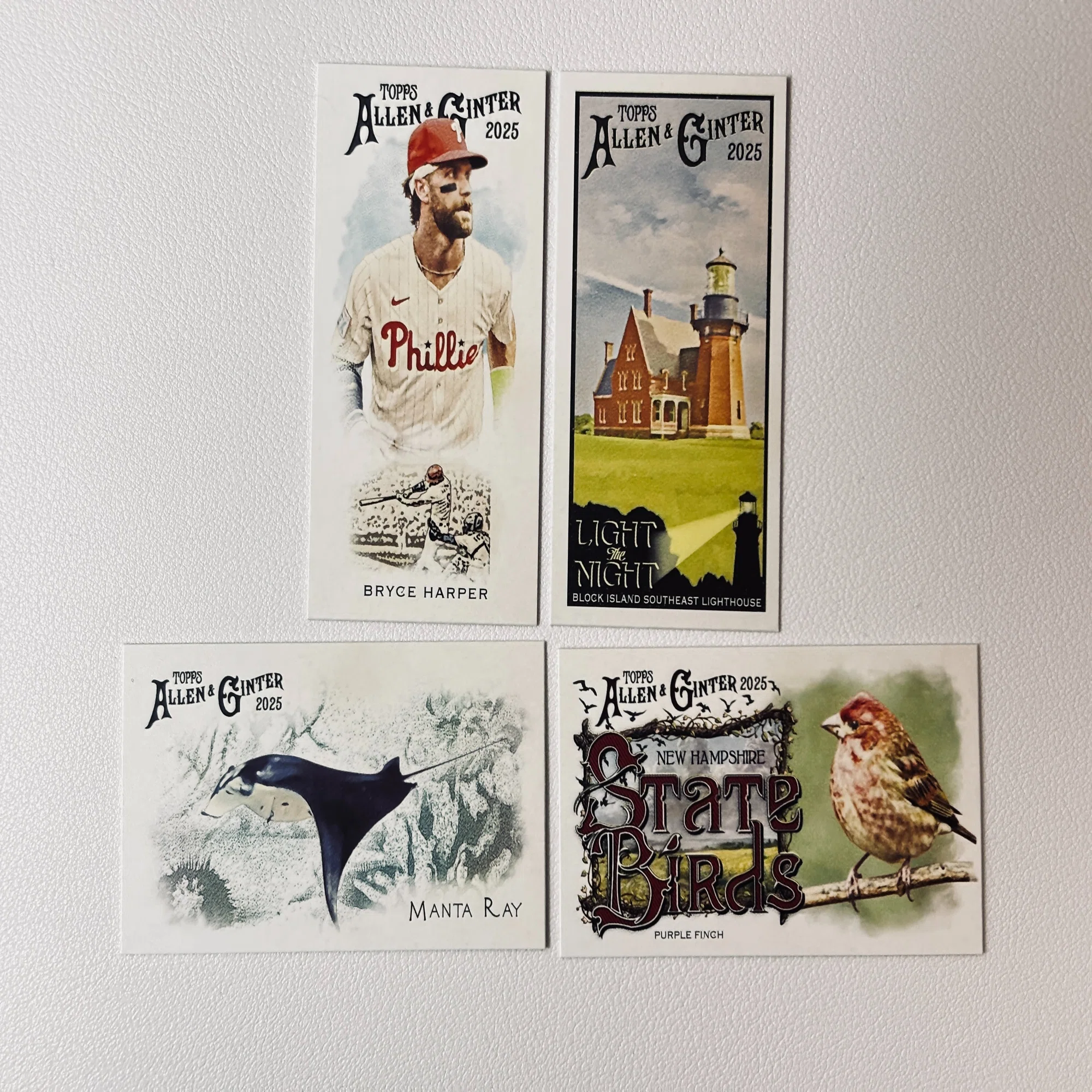 開封】Topps 2025 Allen & Ginter X Hobby Box【黒いアレギン 