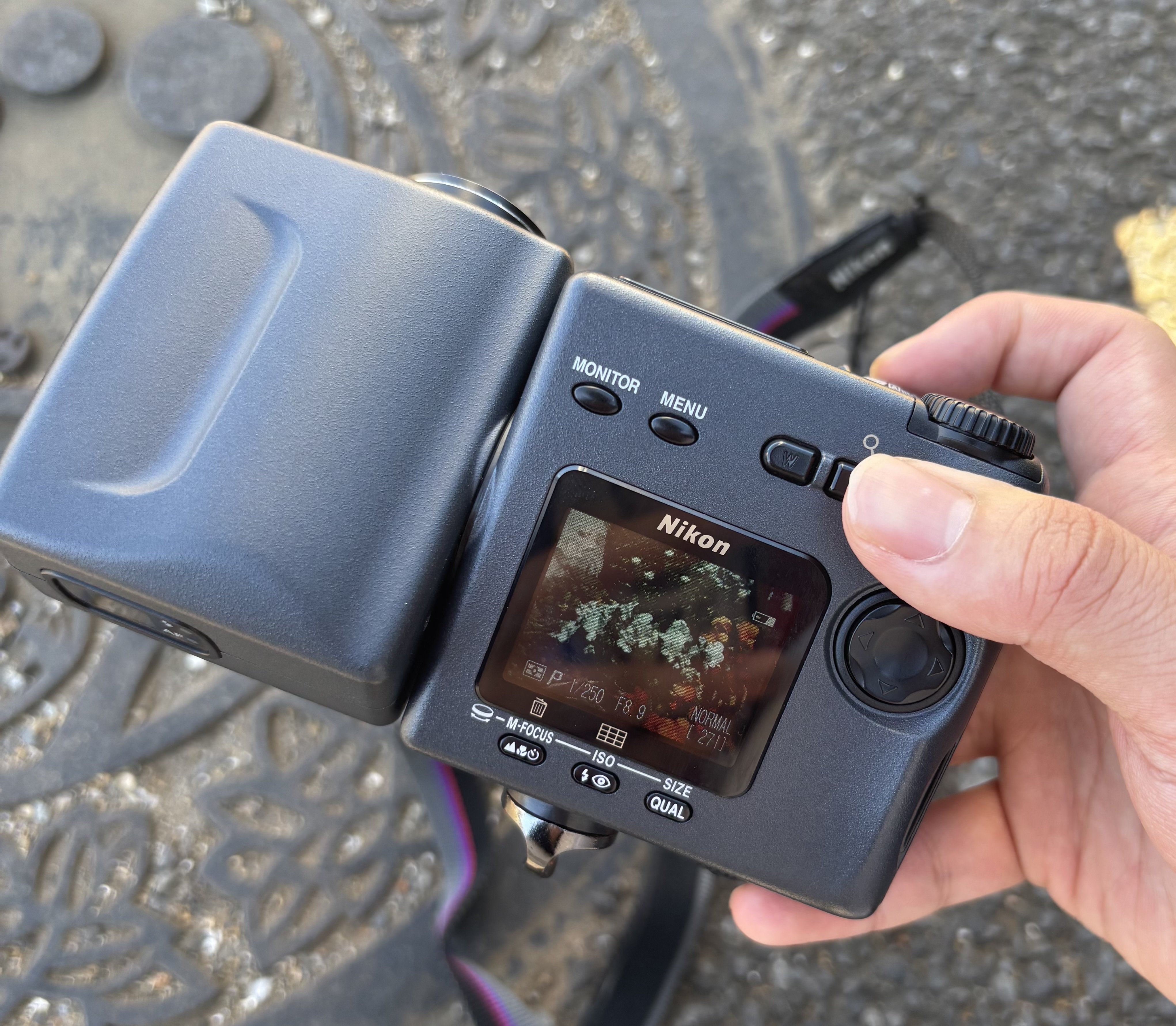 久しぶりmy new gear (COOLPIX 990)｜如月コグの散文的LIFE