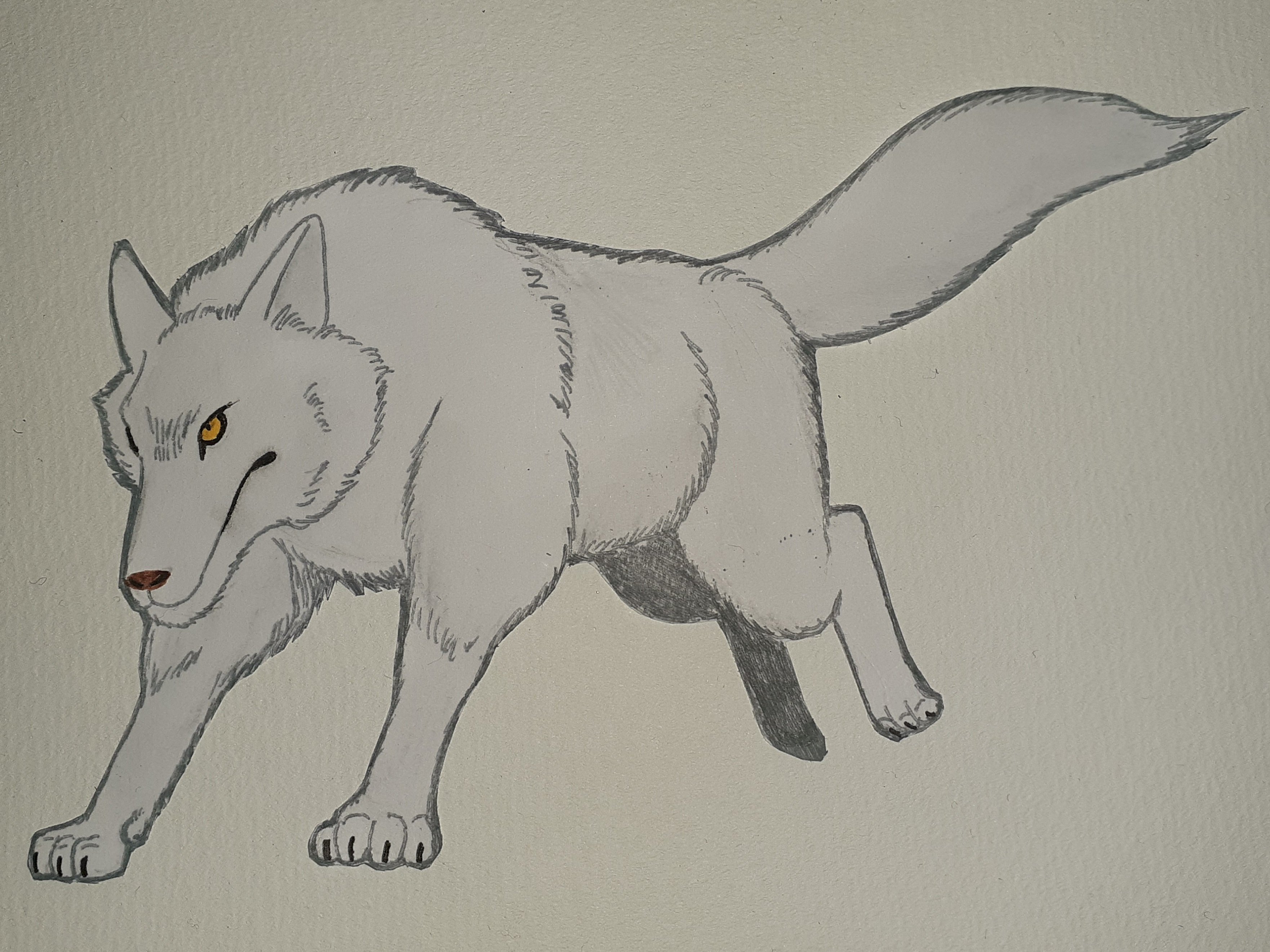 イラスト】オオカミ｜TechpanCreate（テクパン・クリエイト）