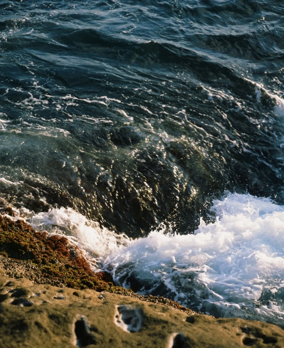 写真が下手くそになった ⅼ 中判ポジフィルム｜あなでじ