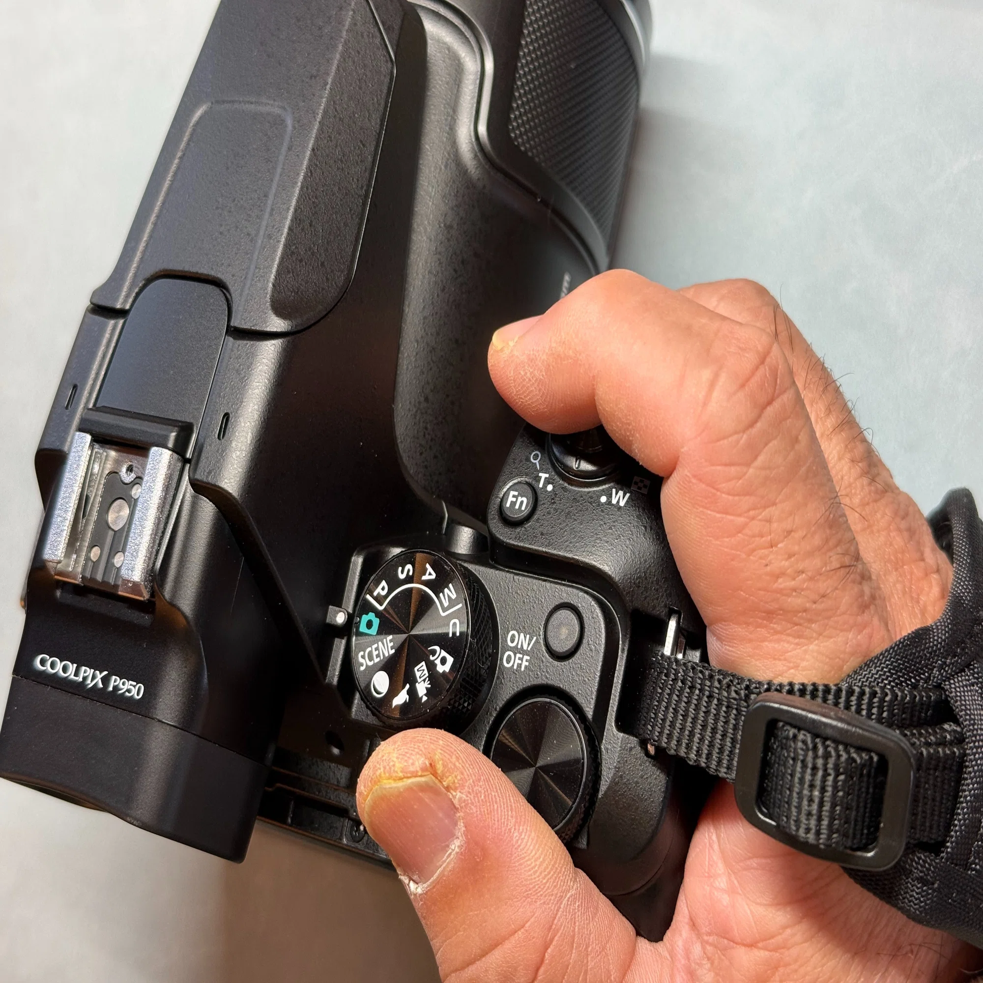 my new GEAR：Nikon COOLPIX P950｜NicePapa 平野 尚志