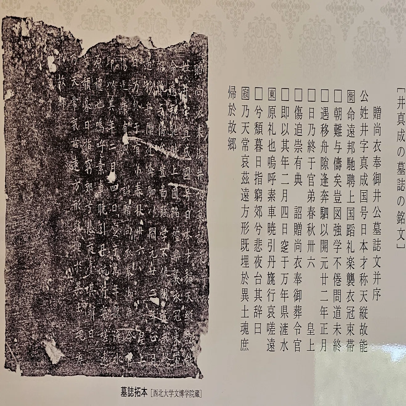 読書散歩｜井真成、長安に死す｜岩下壽之｜1270年後に発見された遣唐 